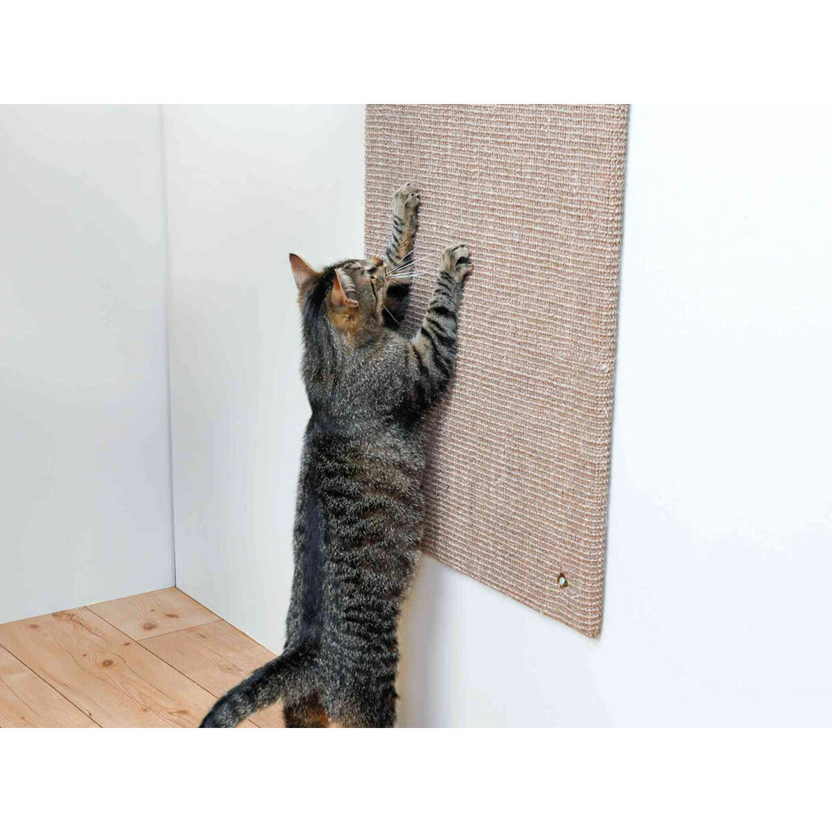 TRIXIE XXL Kratzbaum fr Katzen | SATURN