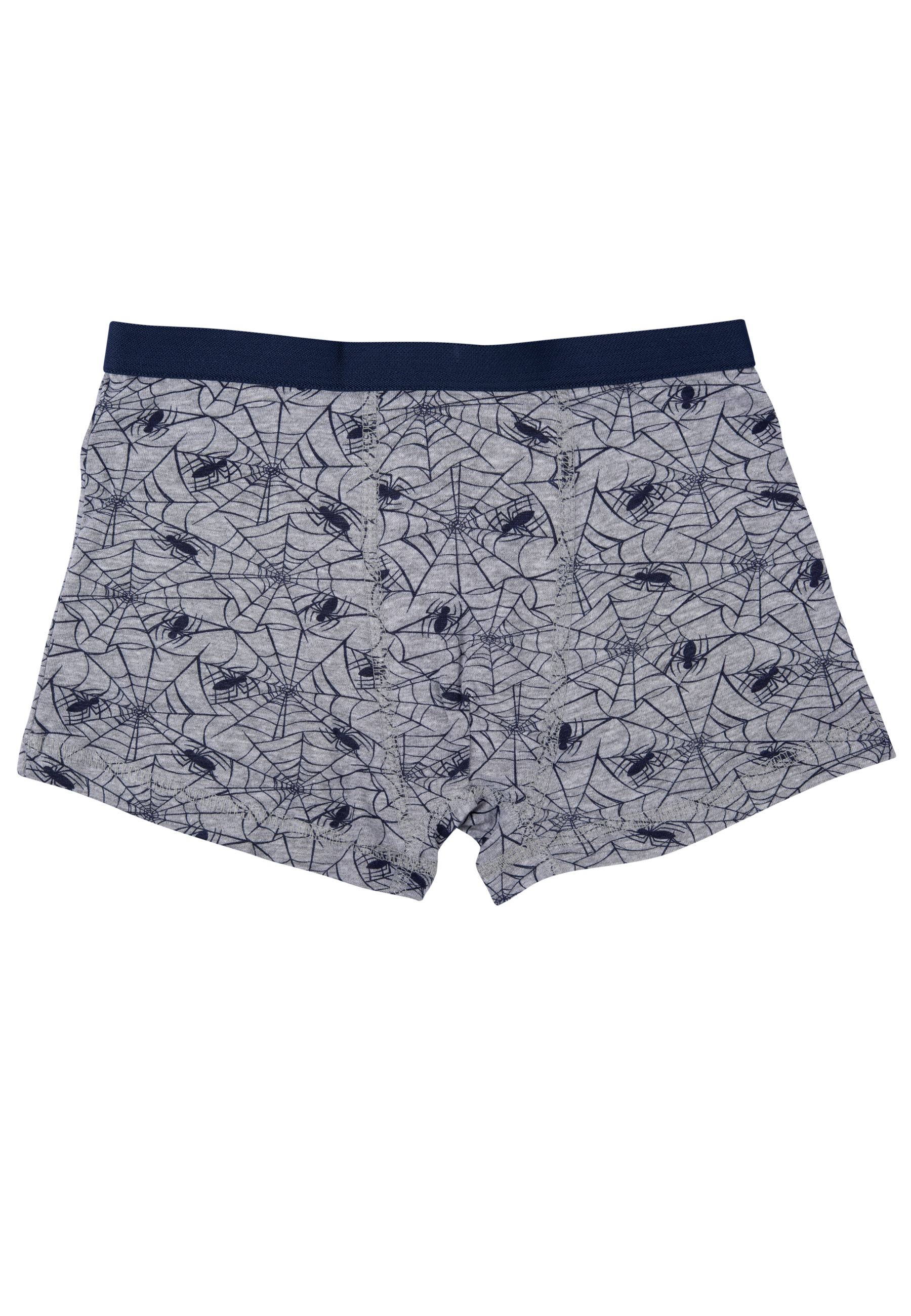 Graue Boxershorts mit Spinnennetz- und Spinnenmuster, dunkelblauer Bund.