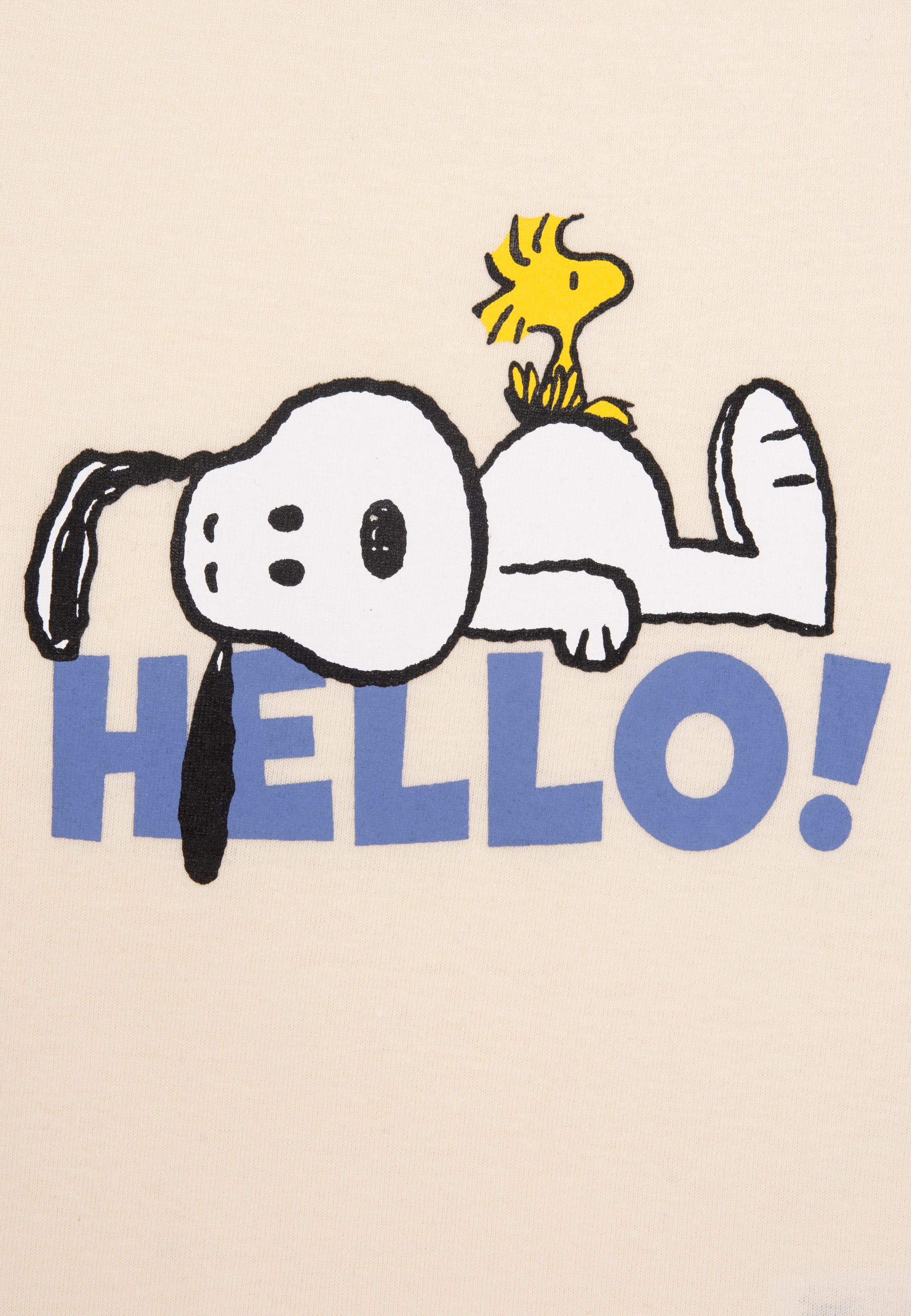 Snoopy und Woodstock liegen auf dem Boden, das Wort HELLO!