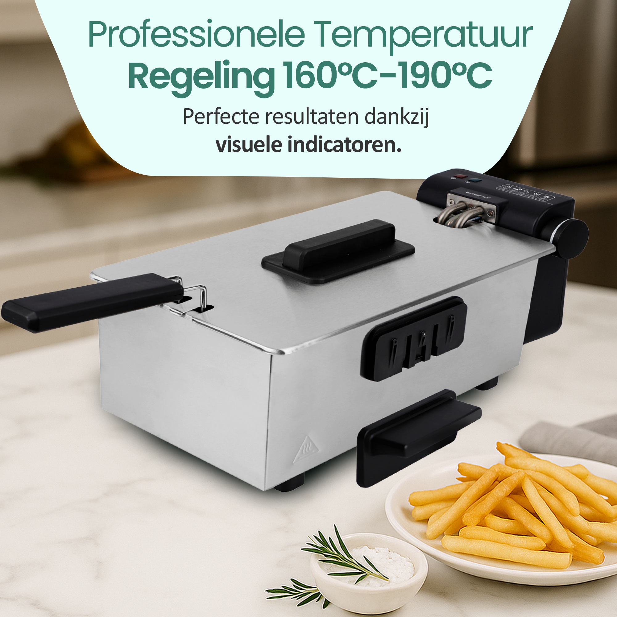 Edelstahlfritteuse mit Pommes Frites und Salz. Temperaturregelung 160-190°C.