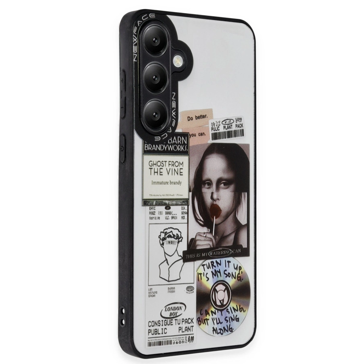 NEWFACE Samsung Galaxy S24 Plus Uyumlu Mirror Desenli Telefon Kılıfı Çok Renkli