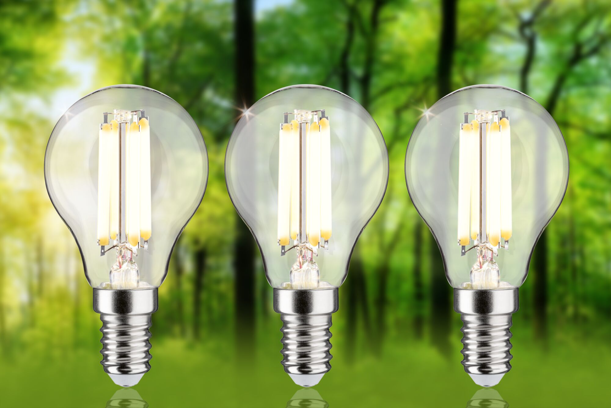 Trzy żarówki LED stoją na tle rozmytych zielonych drzew.