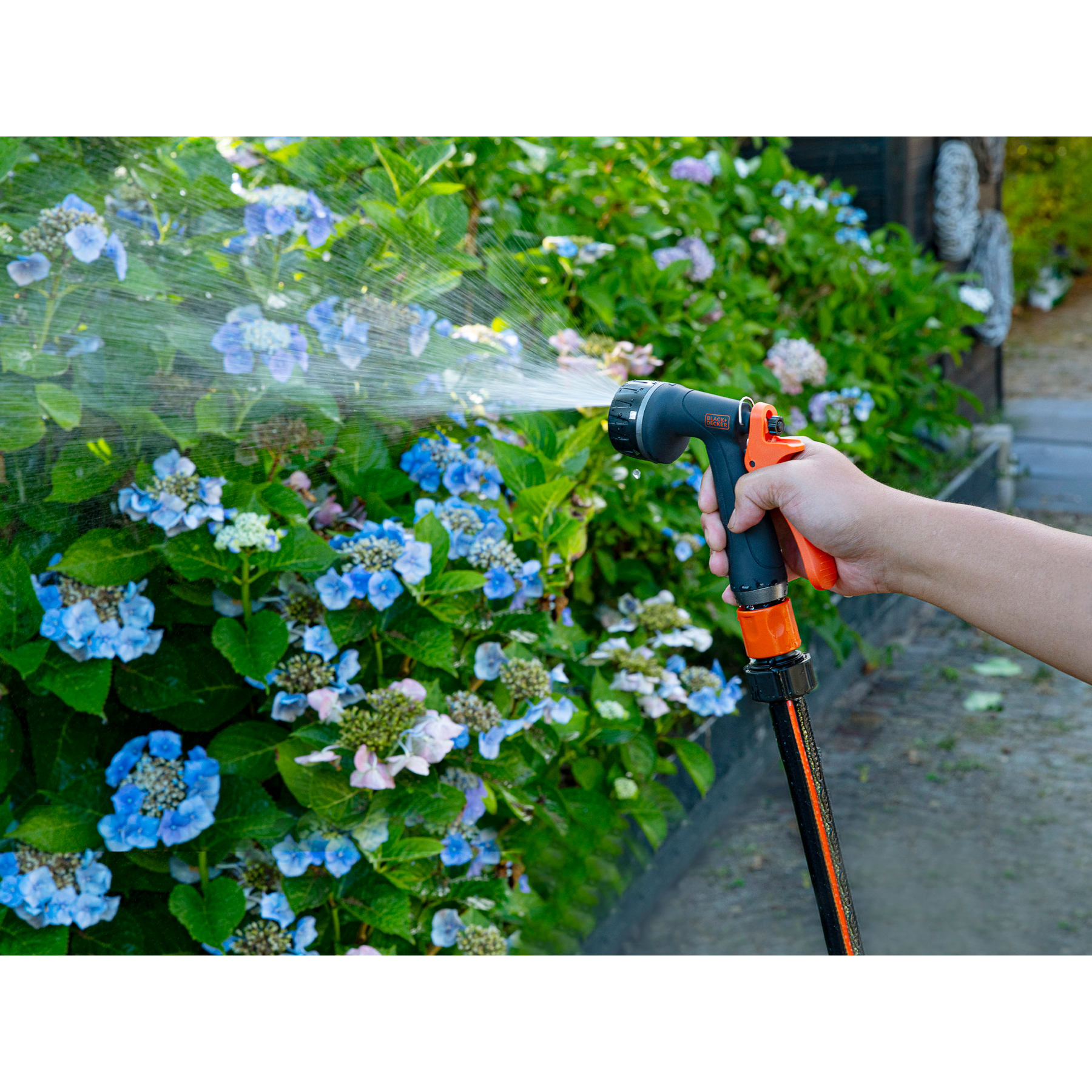 Een hand houdt een tuinslangmondstuk dat water sproeit op blauwe hortensia's.