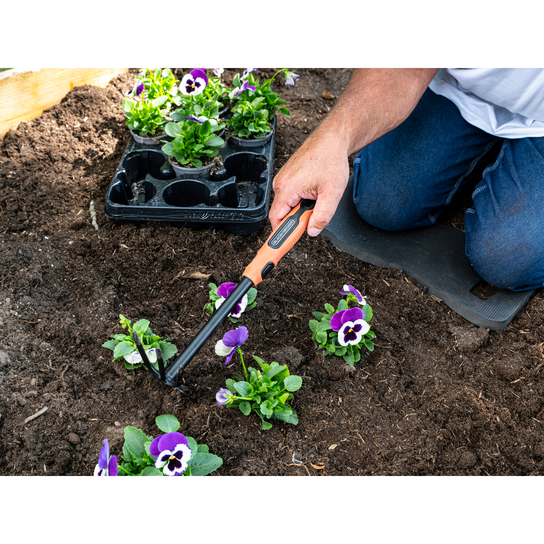 Persoon plant paarse viooltjes in aarde met een kleine handhark.