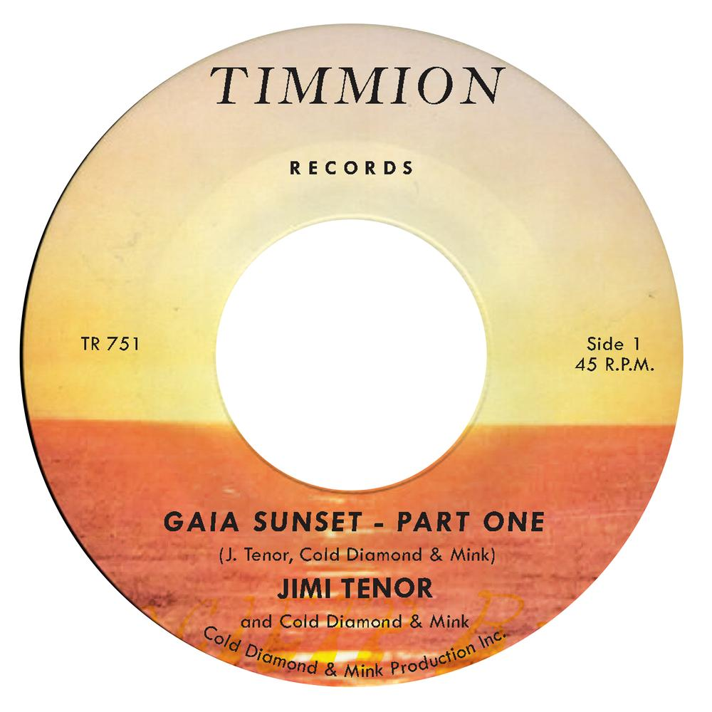 Disque : Timmion Records, Gaia Sunset - Part One, Jimi Tenor.