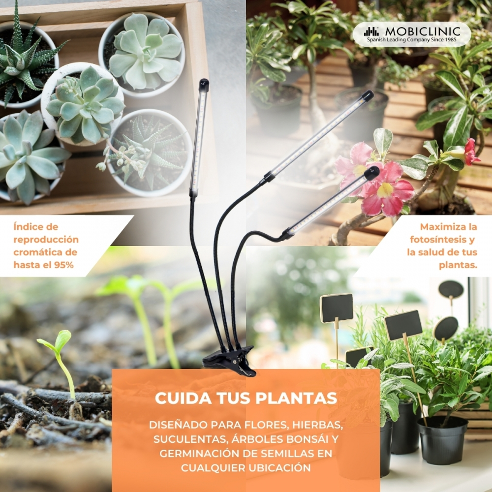 Lámpara para cuidado de plantas con suculentas y plántulas. Alta reproducción cromática.