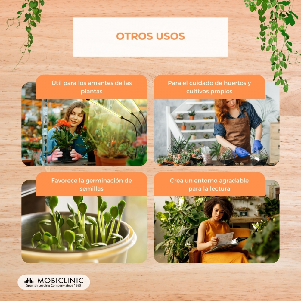 Mujer con planta; mujer cuidando plantas; plántulas creciendo; mujer leyendo.