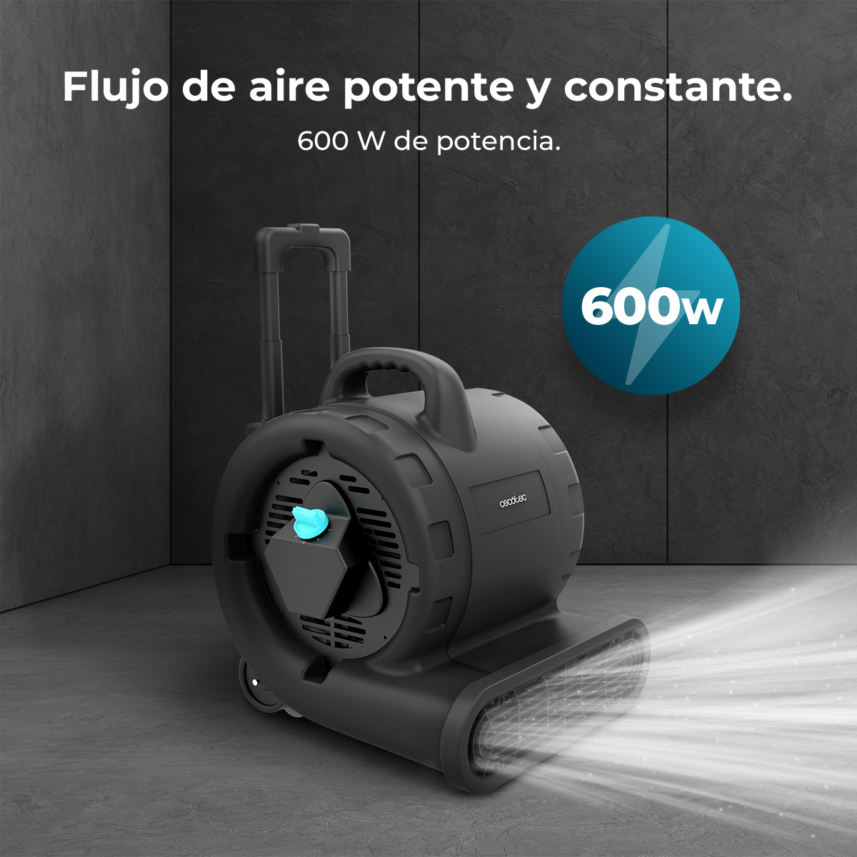 Un ventilatore nero con ruote e manico soffia aria. Potenza 600W.