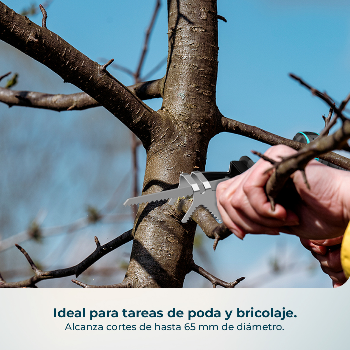 Una mano usa una sierra para cortar una rama de un árbol.