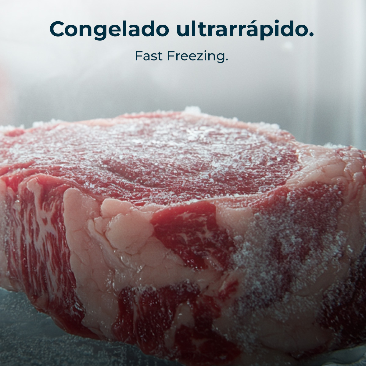 Una bistecca di manzo cruda coperta di brina, congelata rapidamente.