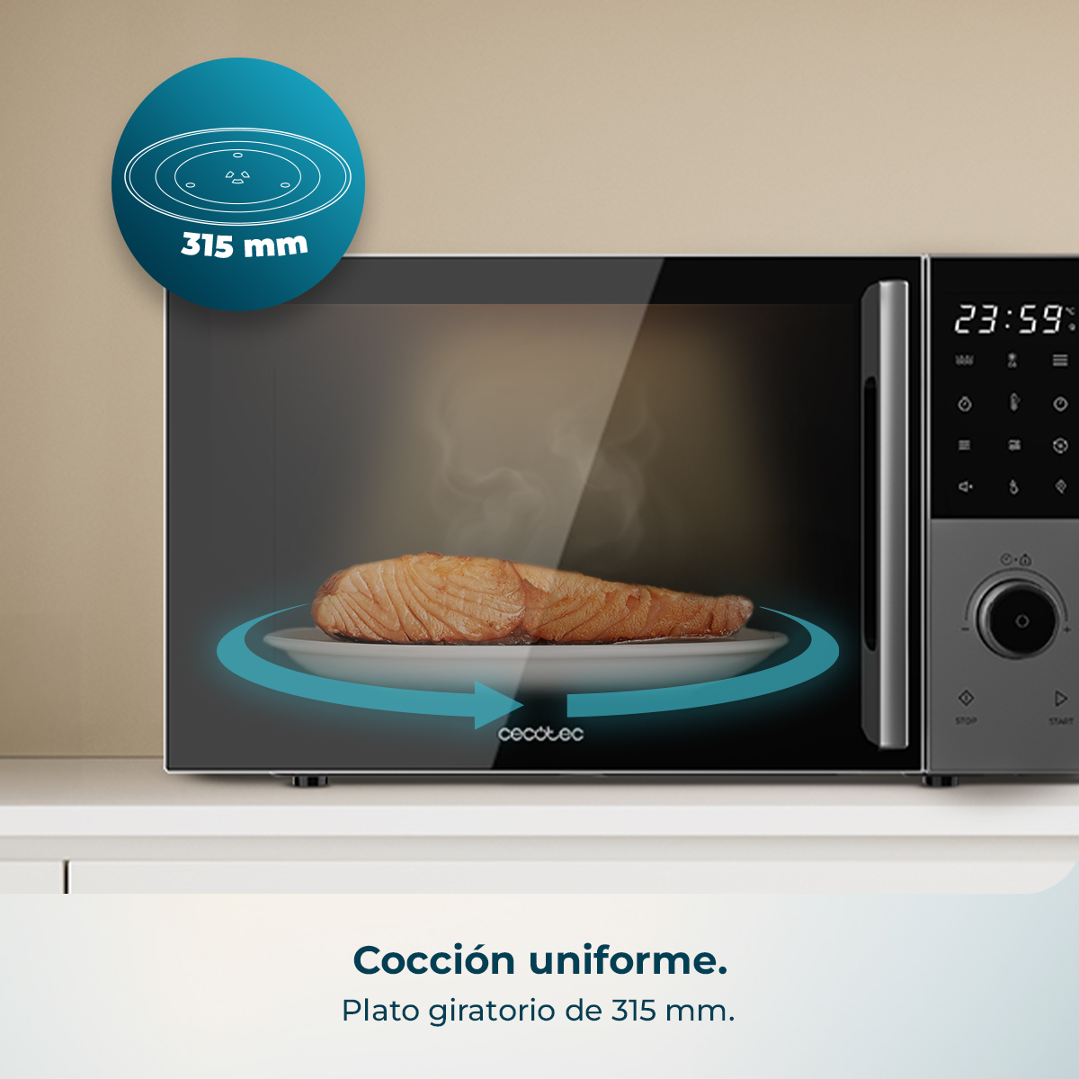 Un filetto di salmone su un piatto rotante all'interno di un microonde con piatto girevole da 315 mm.