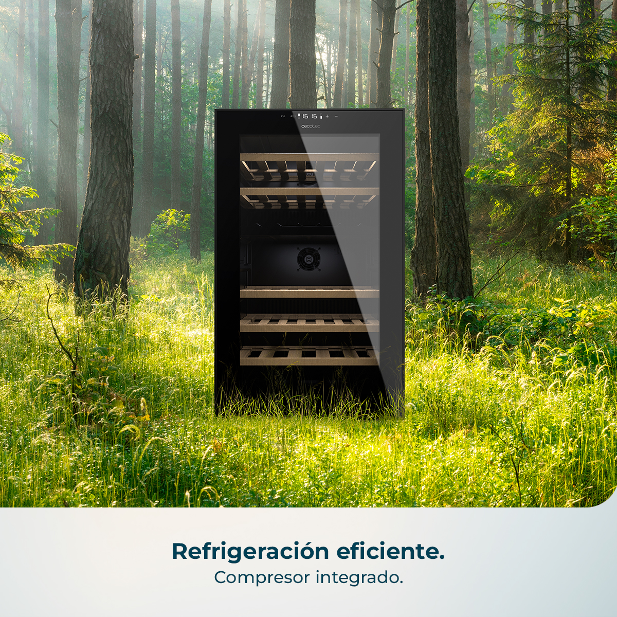 Una nevera de vino está en un bosque soleado.