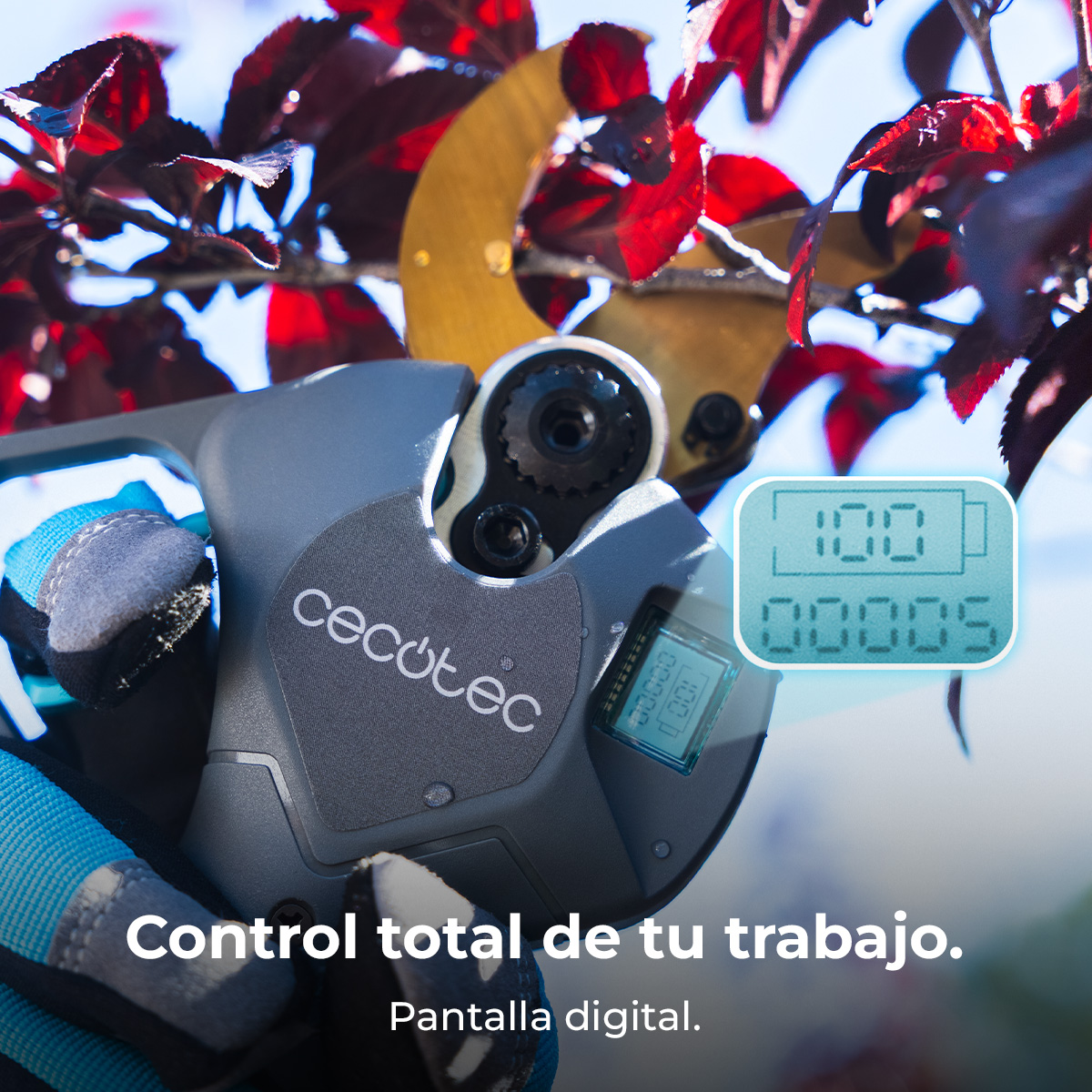 Podadora eléctrica con pantalla digital (100%, 00005) en uso.