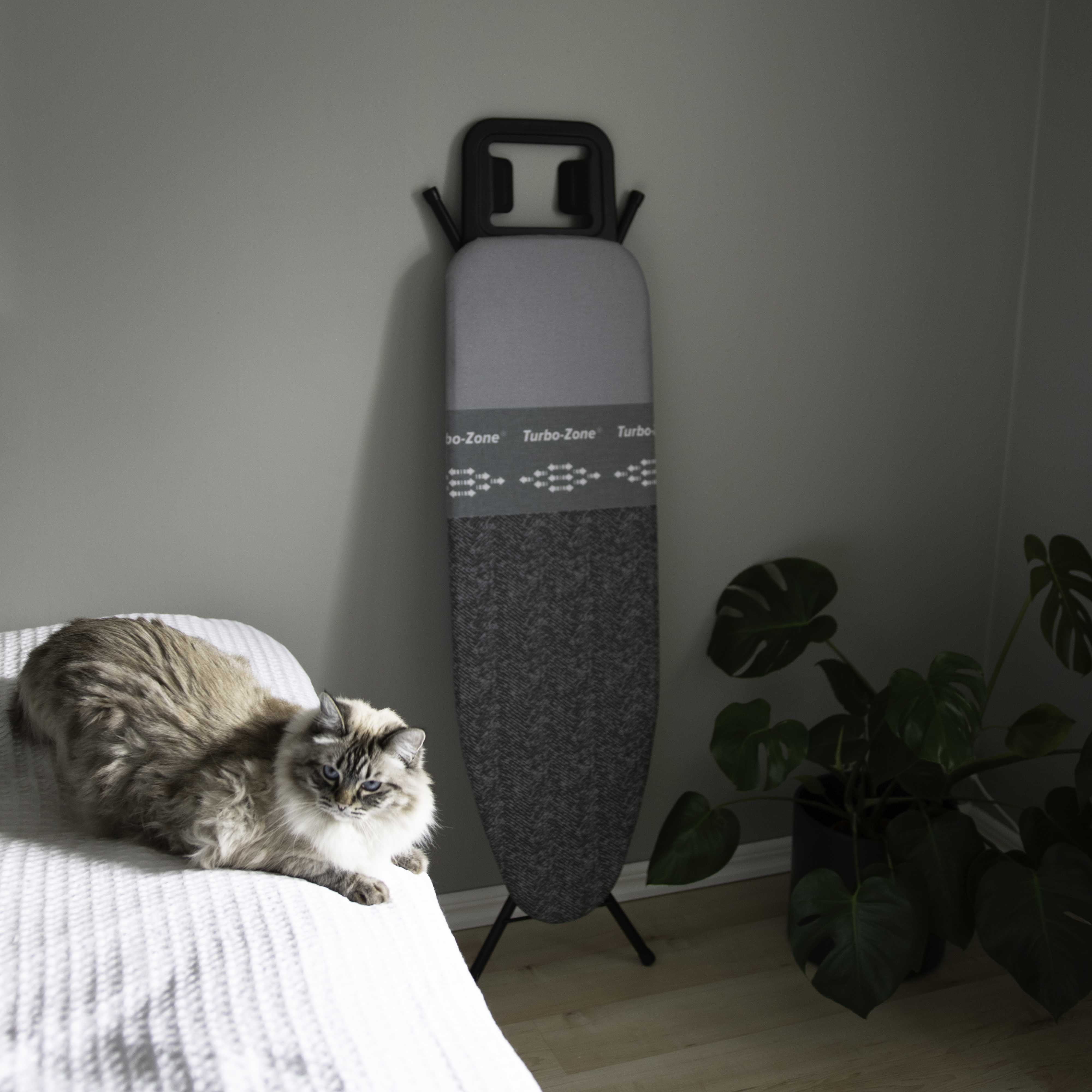 Eine Katze liegt auf einem weißen Bett neben einem Bügelbrett und einer Pflanze.