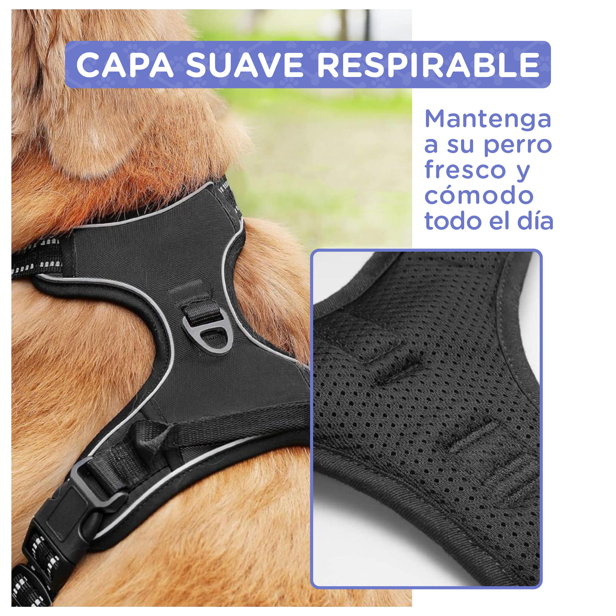 Arnés para perro con malla transpirable, ribetes plateados y hebillas.