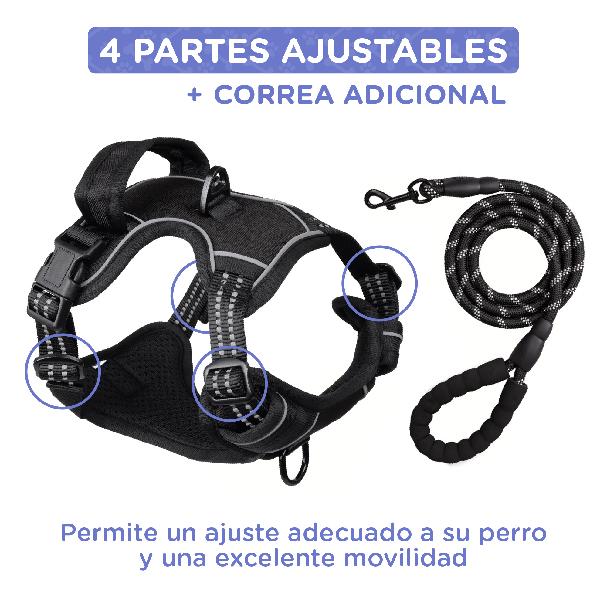Arnés negro para perro con correa, cuatro partes ajustables para buen ajuste.