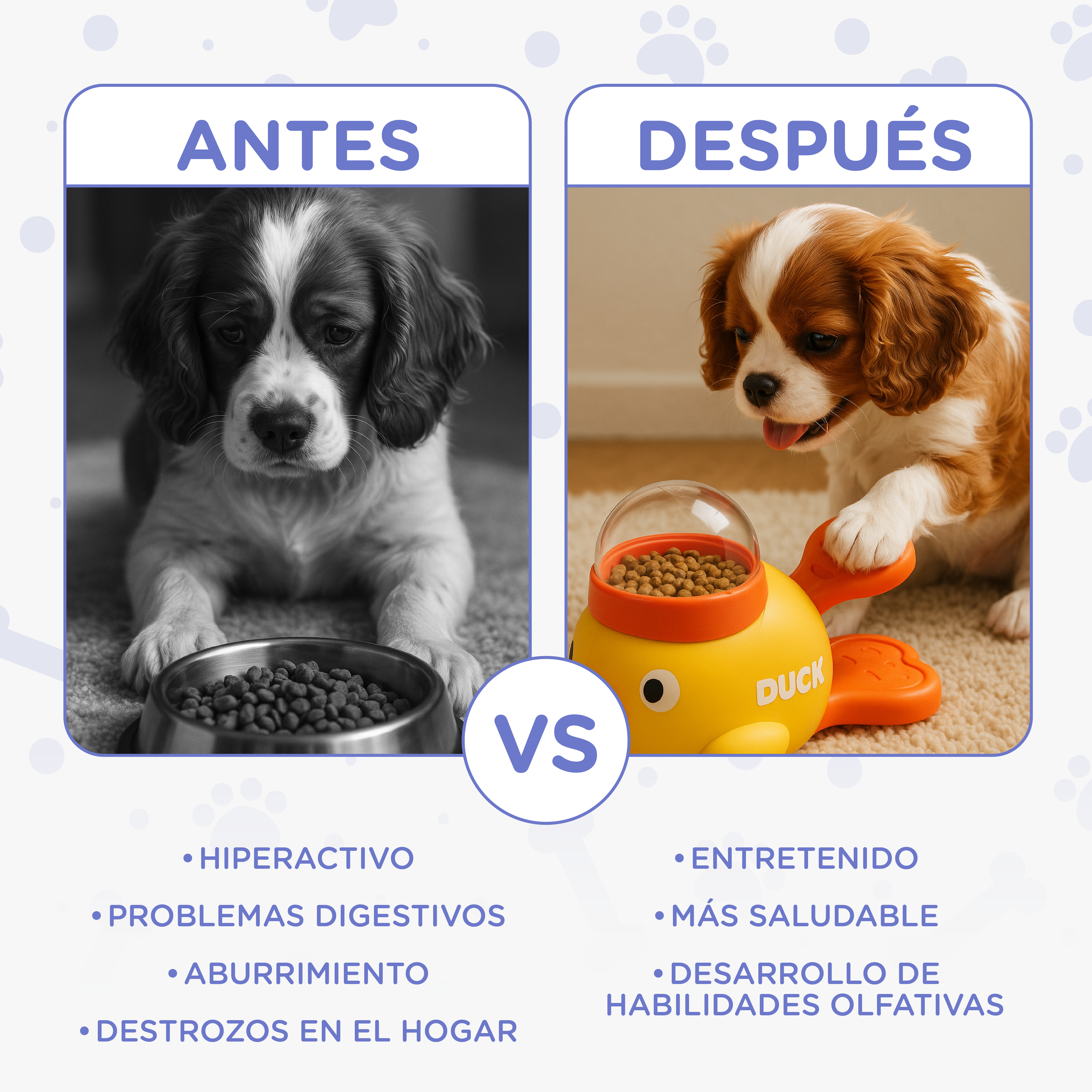 Comparación antes/después de un perro con comida y juguete.