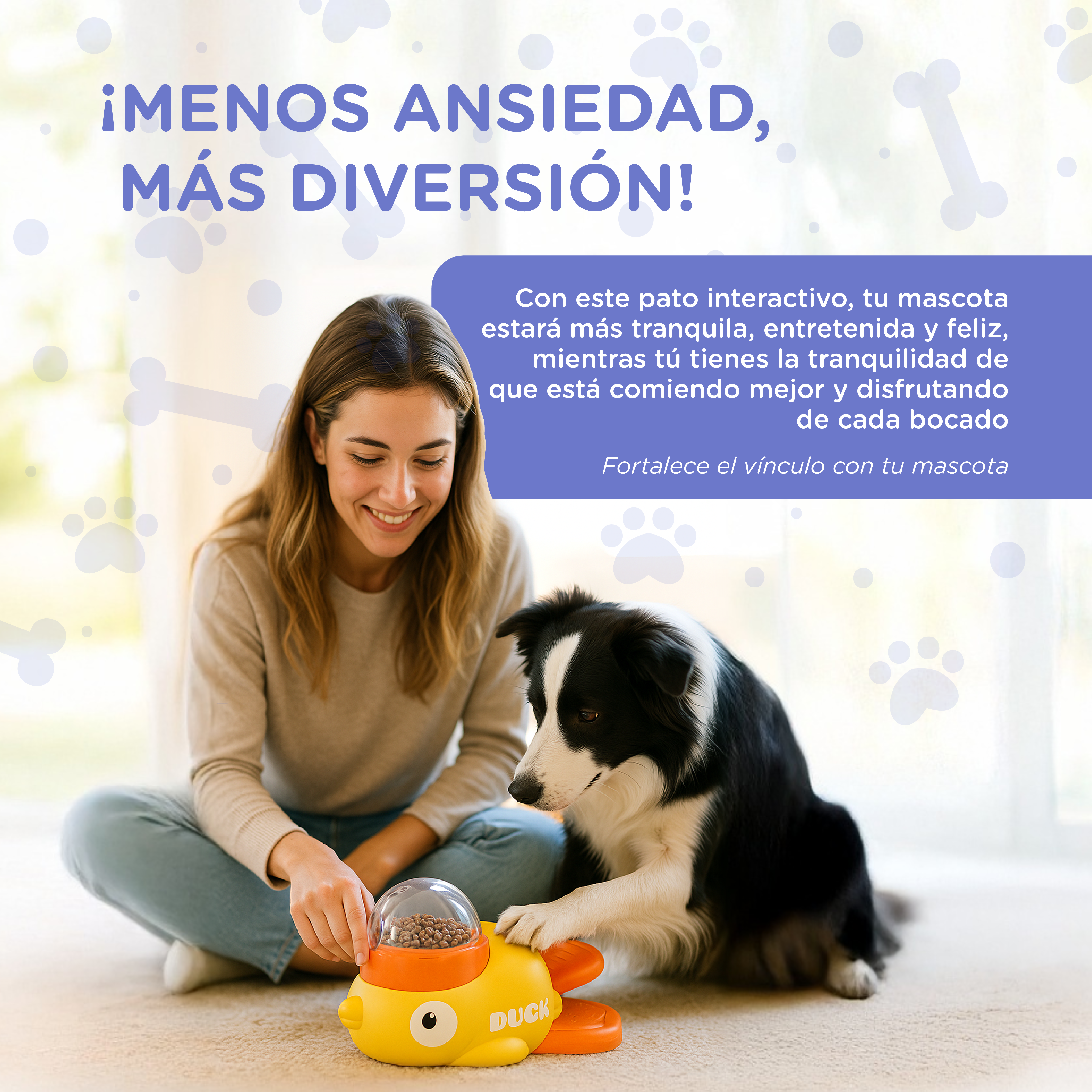 Mujer con Border Collie juega con juguete de pato amarillo en el suelo.