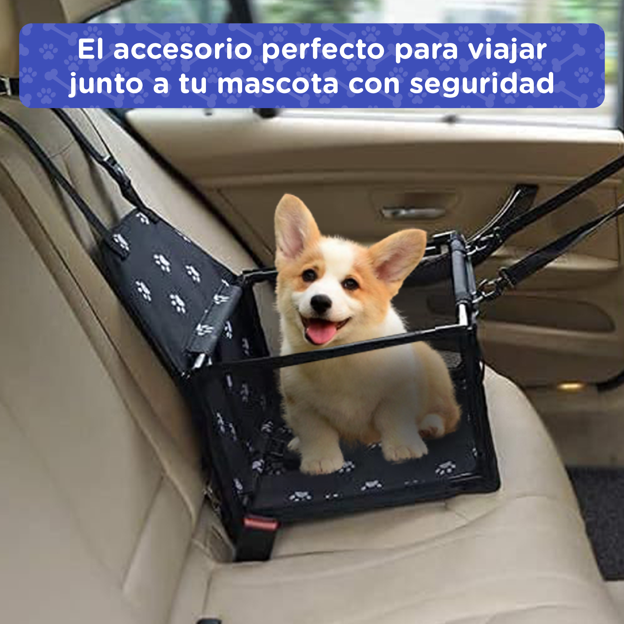 Un Corgi se sienta en un asiento de coche para perros negro en un asiento de coche.