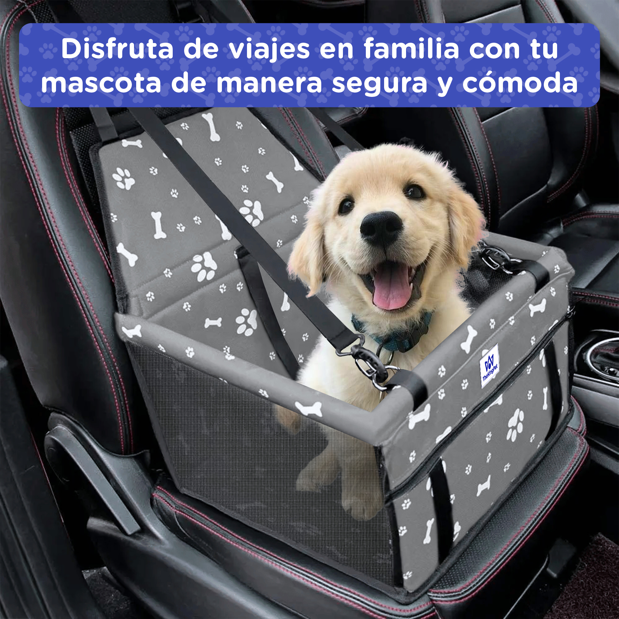Un Golden Retriever sentado en un asiento para perros de coche con estampado de huesos.