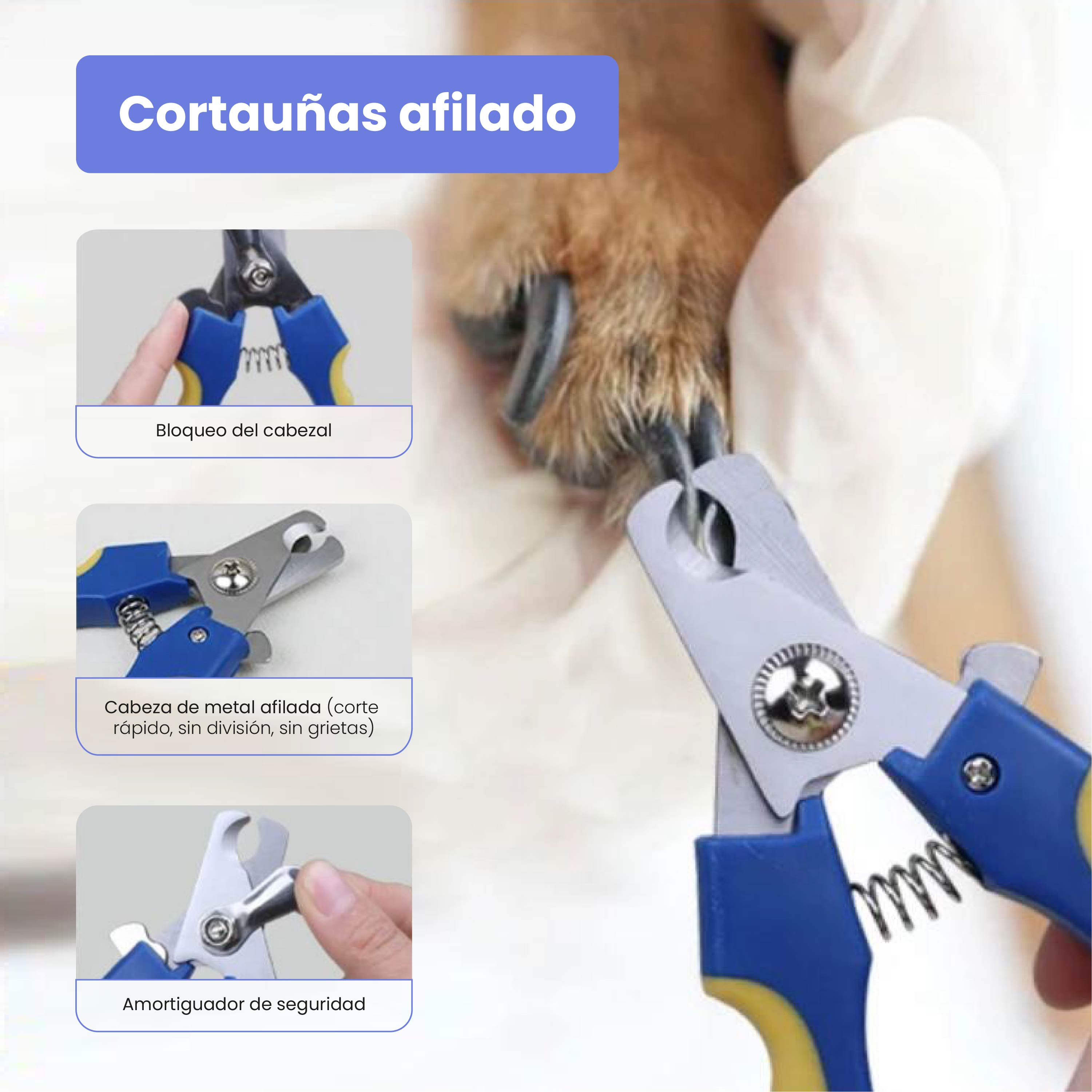 Cortauñas azul y amarillo cortando la uña de un perro. Primer plano de la hoja.