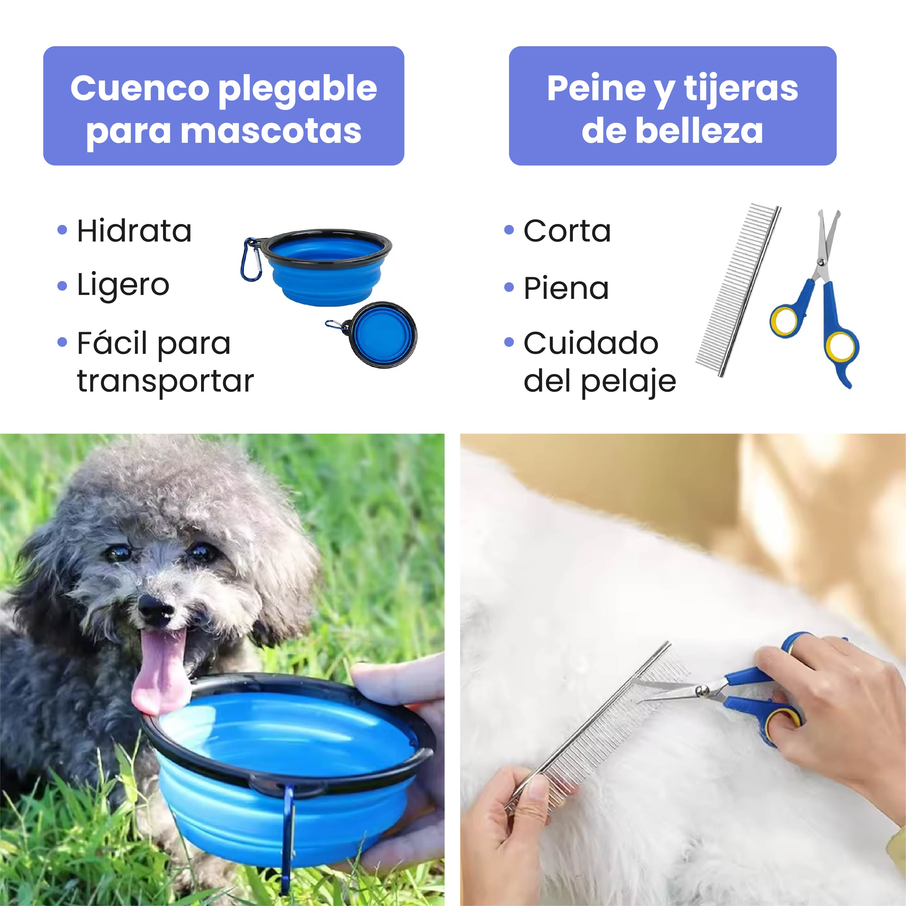 Un perro bebe de un cuenco azul, junto a tijeras y peine para mascotas.