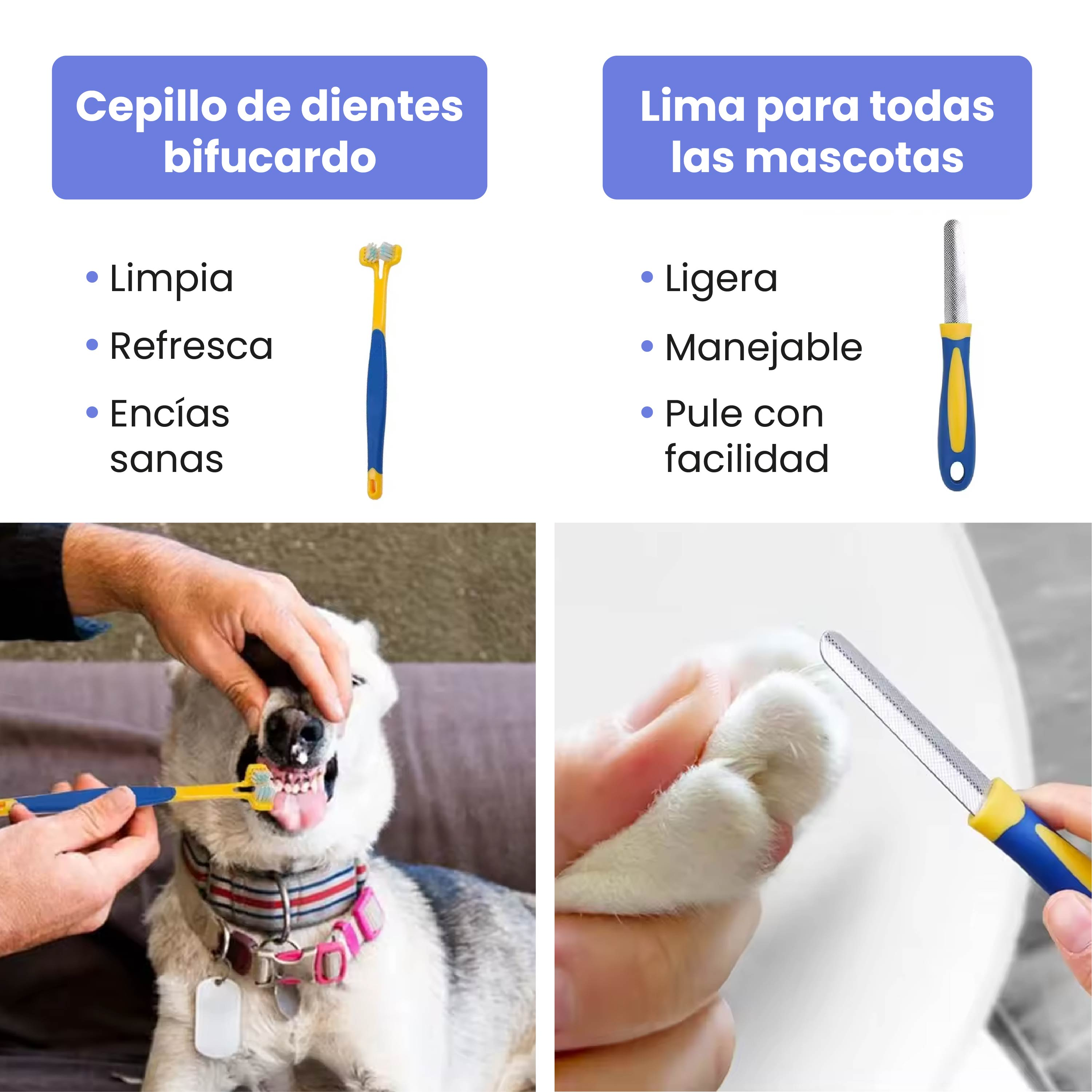 Un perro se cepilla los dientes, un gato se lima las patas.
