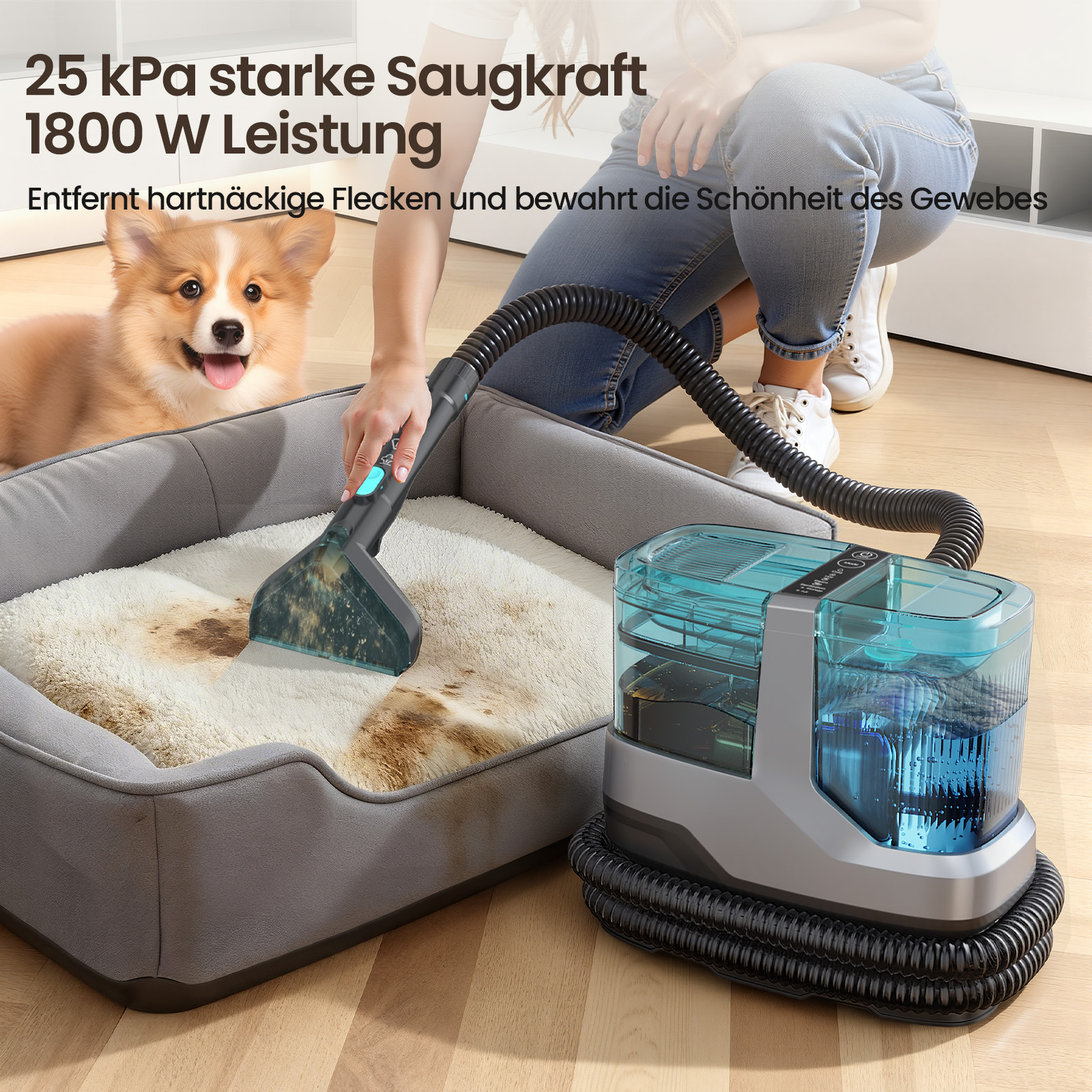 Ein Corgi schaut zu, während ein Reiniger ein Hundebett säubert.