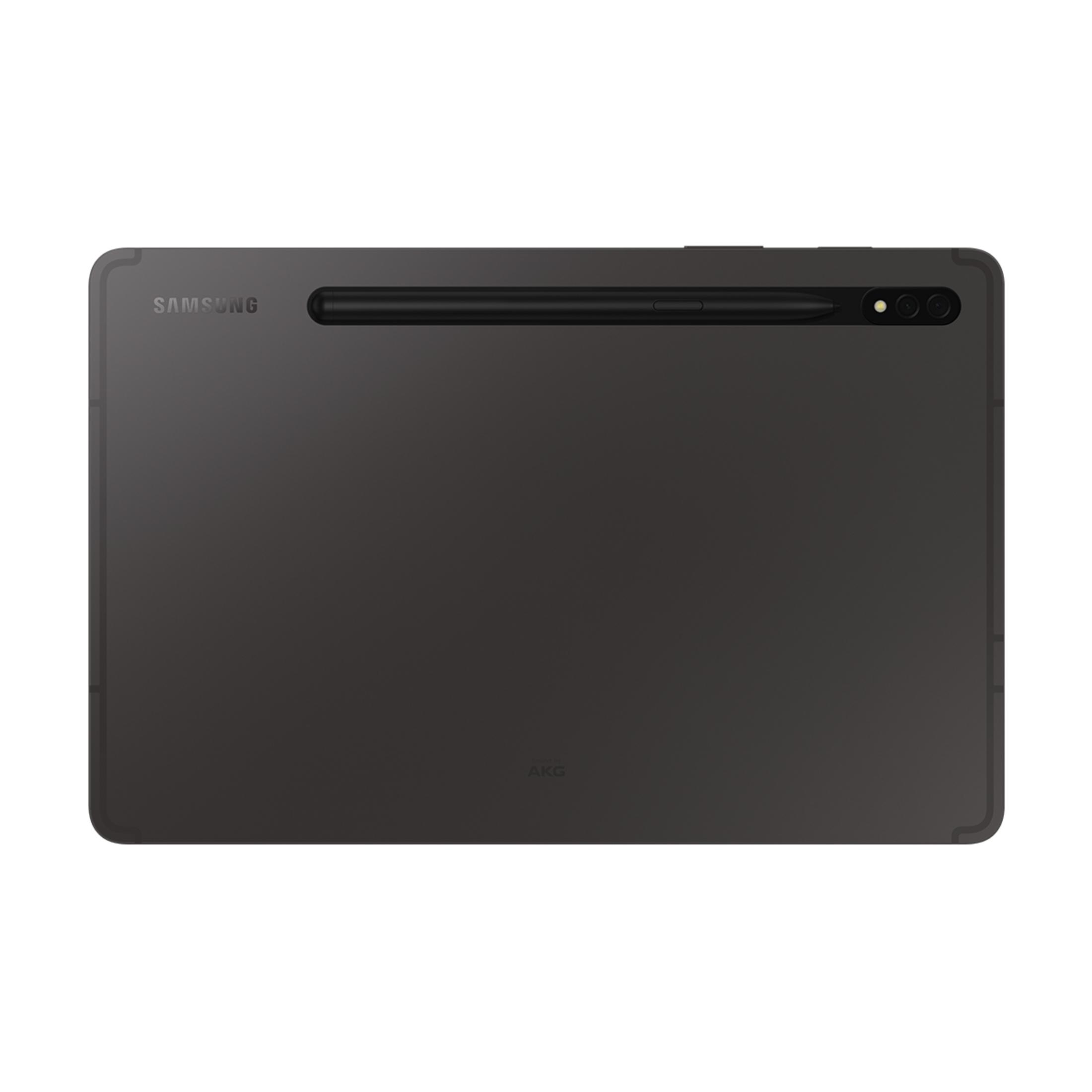 Kalemli ve kameralı koyu gri Samsung tablet.