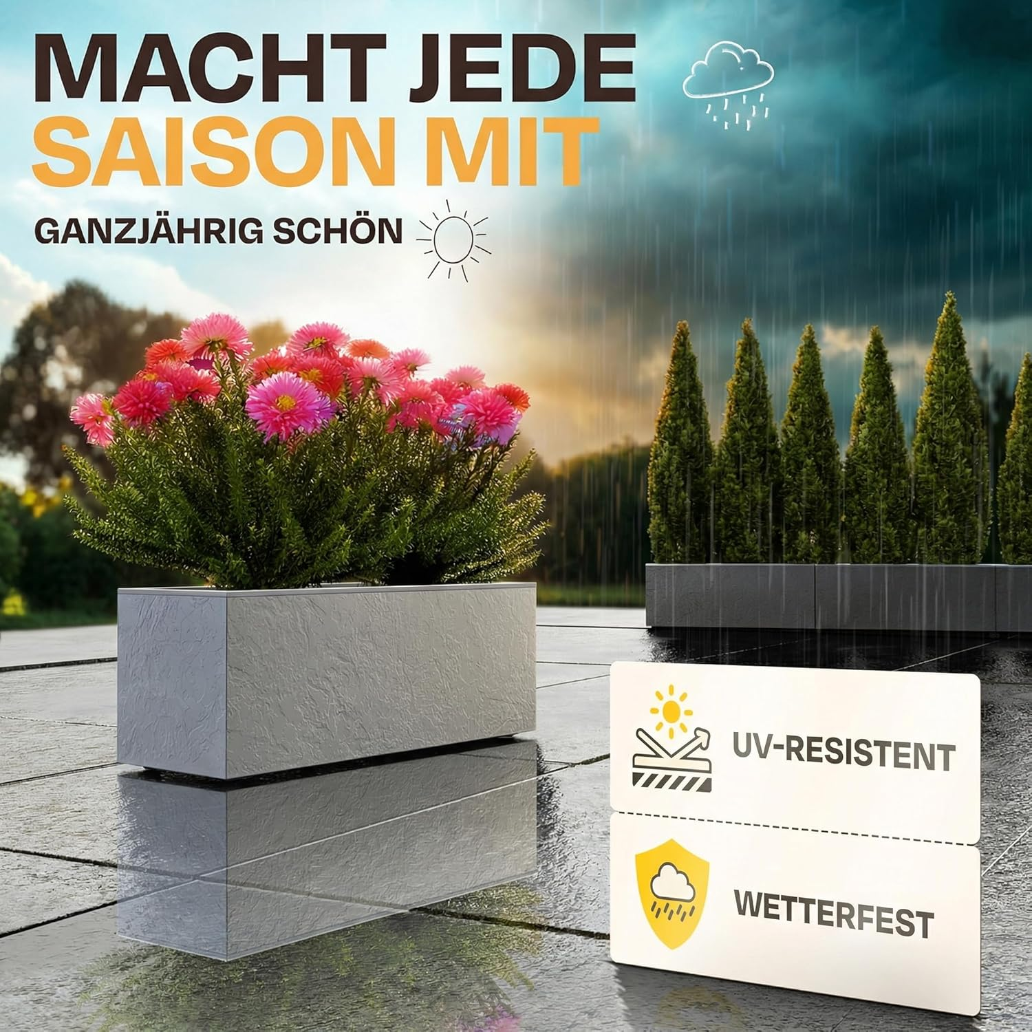 Ein Pflanzgefäß mit bunten Blumen vor einer Reihe von Zypressen. Regen und Sonne.