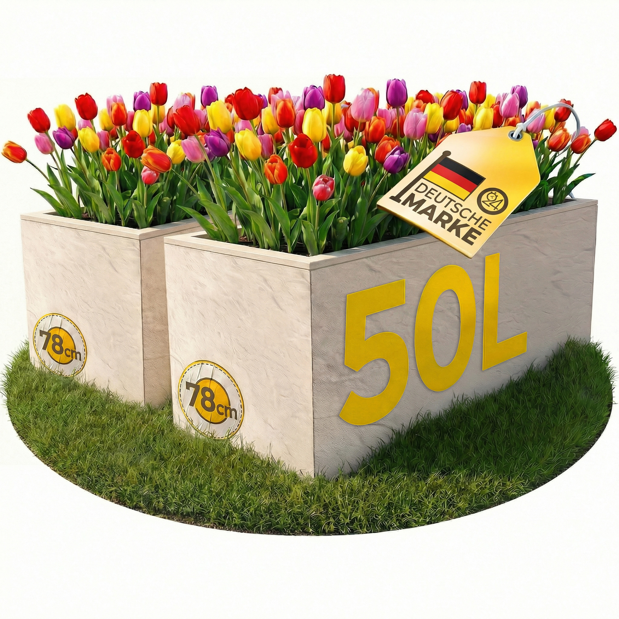 Zwei helle Pflanzkübel mit bunten Tulpen, auf Rasen, mit Etikett.