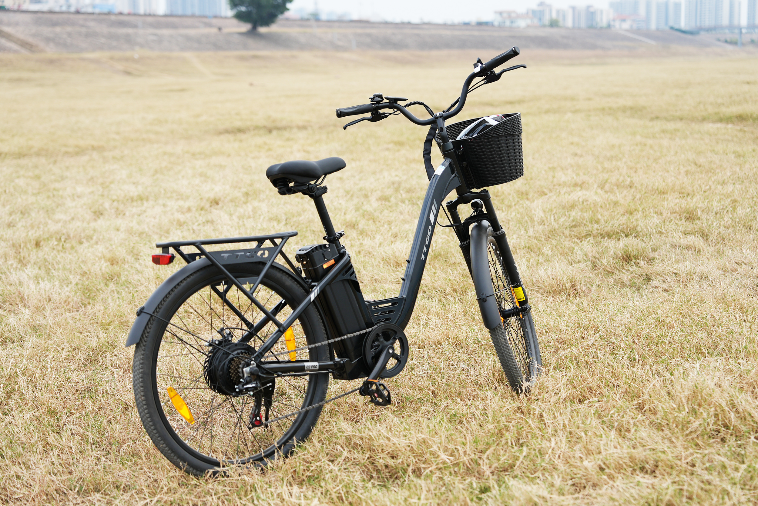 Ein schwarzes E-Bike steht auf trockenem Gras, mit Stadtgebäuden im Hintergrund.