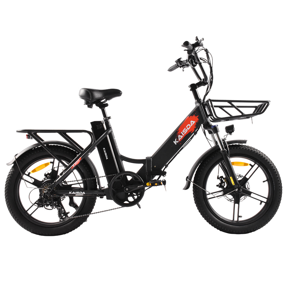 Schwarzes E-Bike mit Gepäckträger vorne und hinten, breiten Reifen und roten Schriftzug.