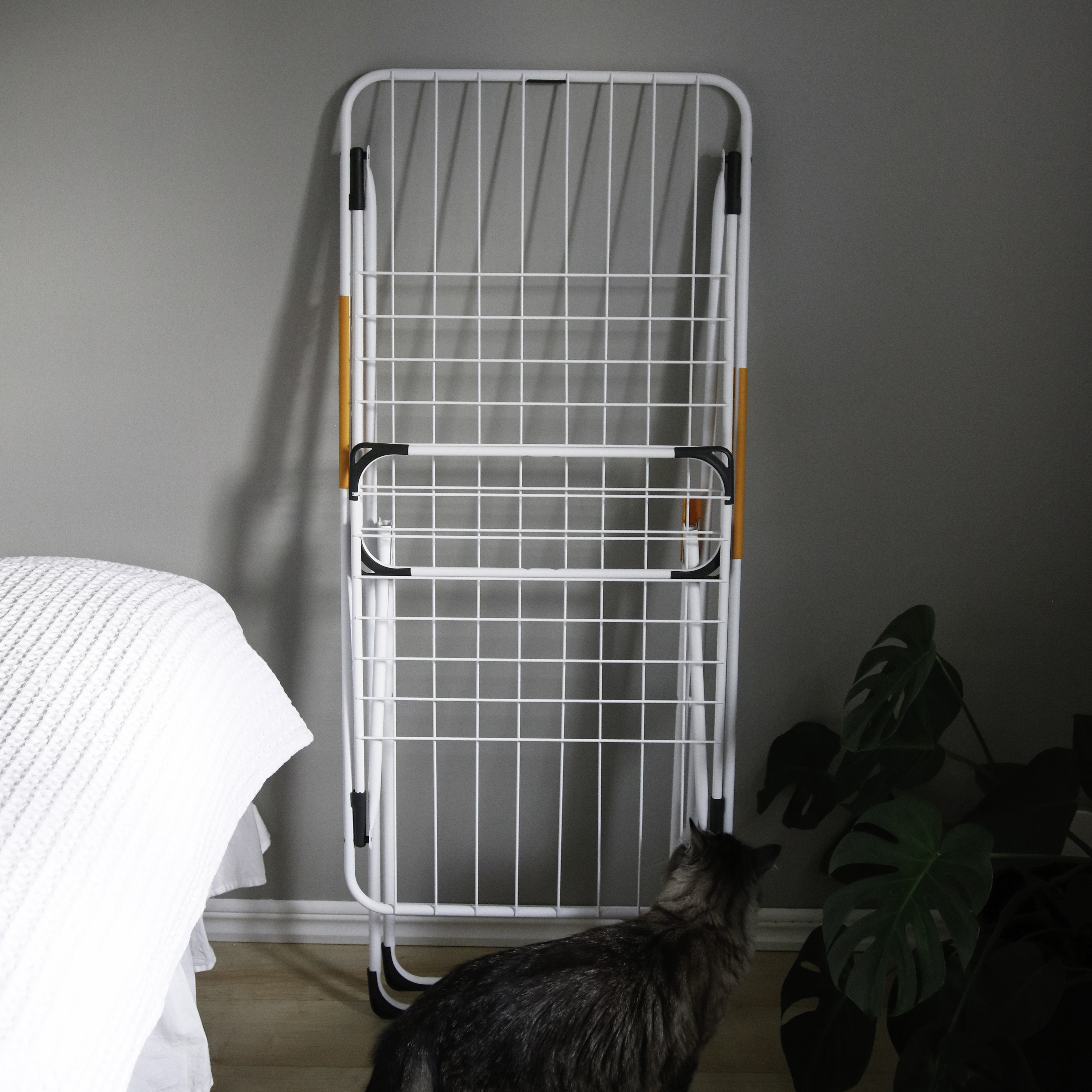 A cat stands before a white drying rack next to a bed and a plant.