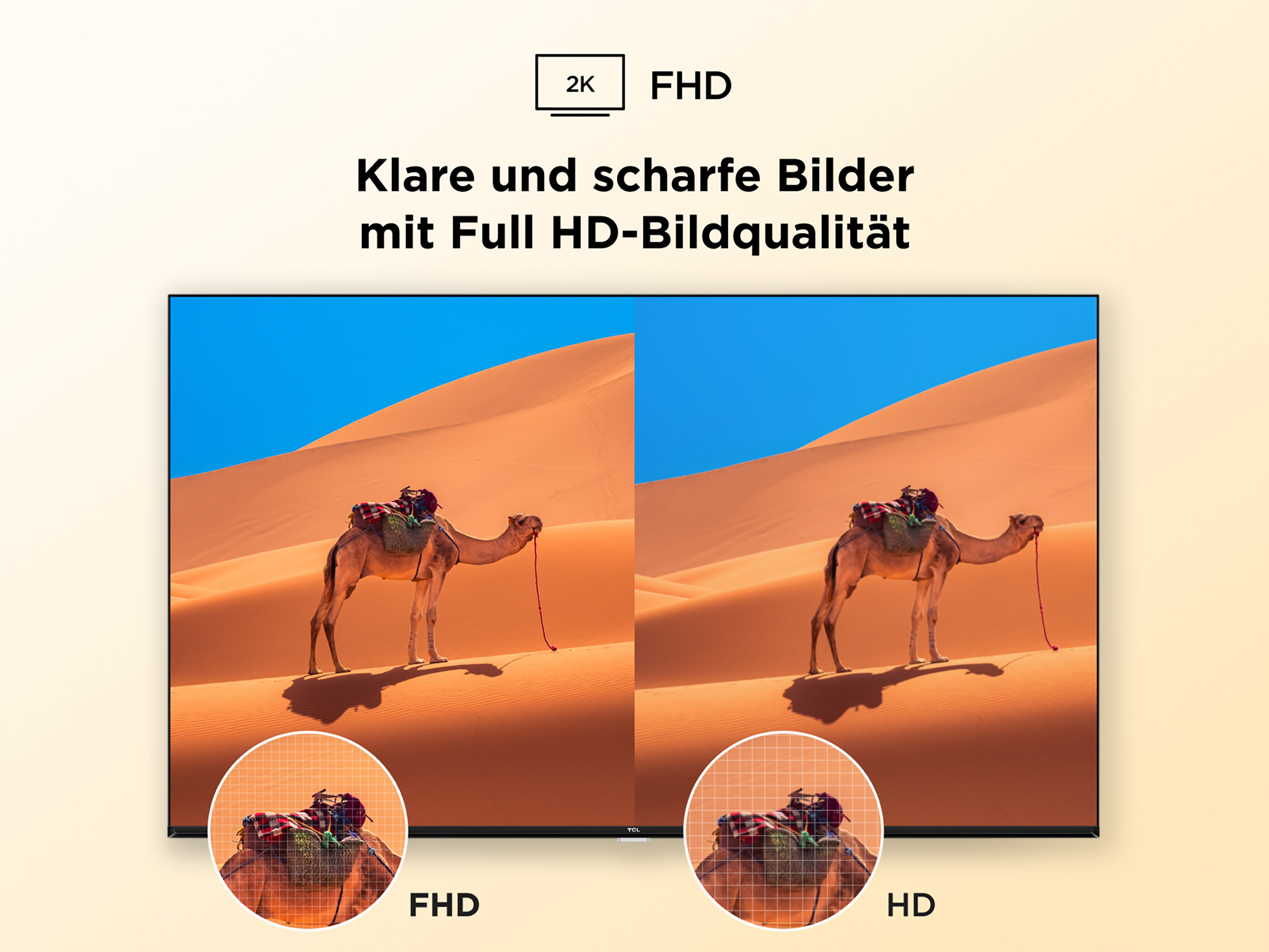 Ein Kamel mit Sattel steht in einer Sandwüste unter blauem Himmel.