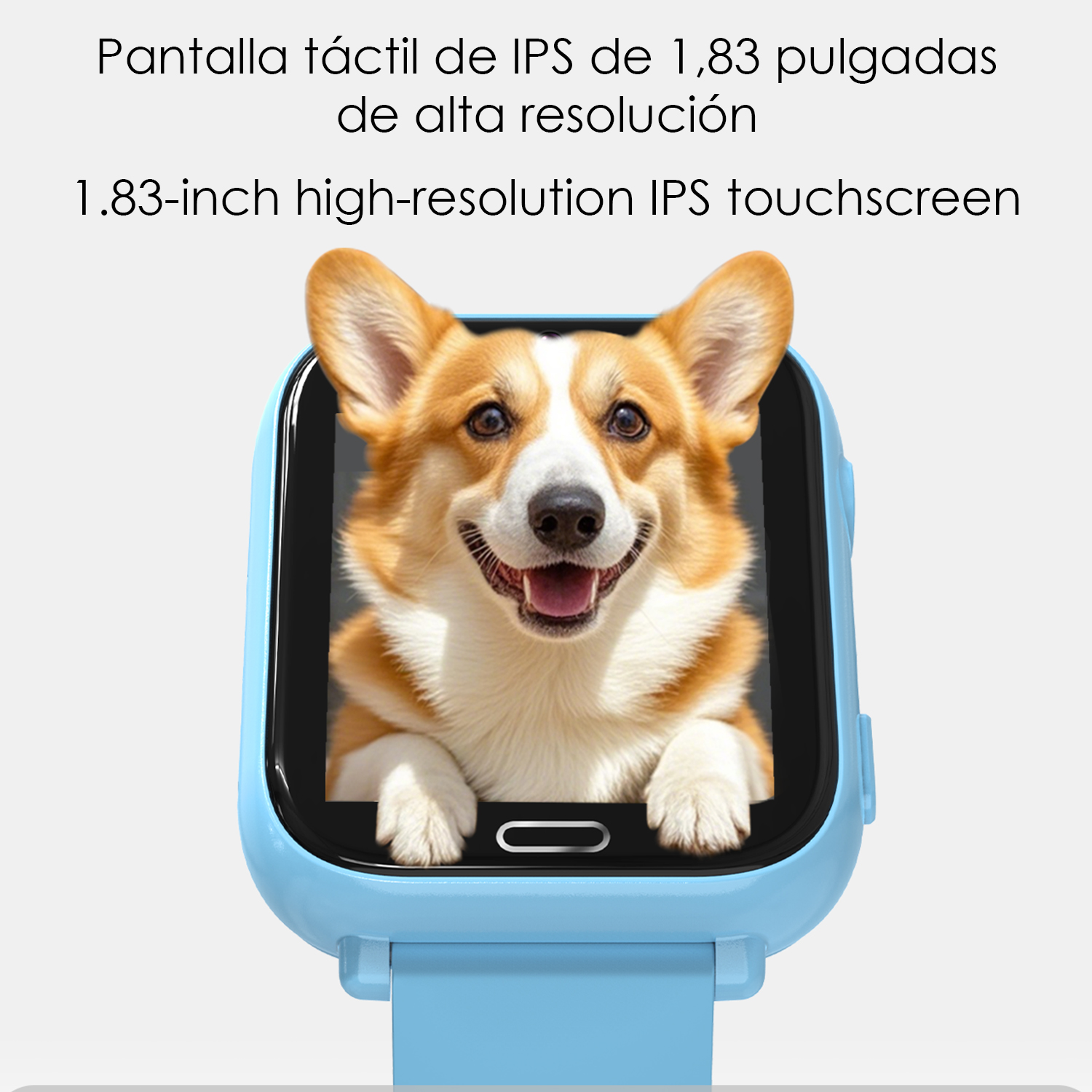 Lo schermo di uno smartwatch blu mostra il volto di un cane Corgi. Alta risoluzione.