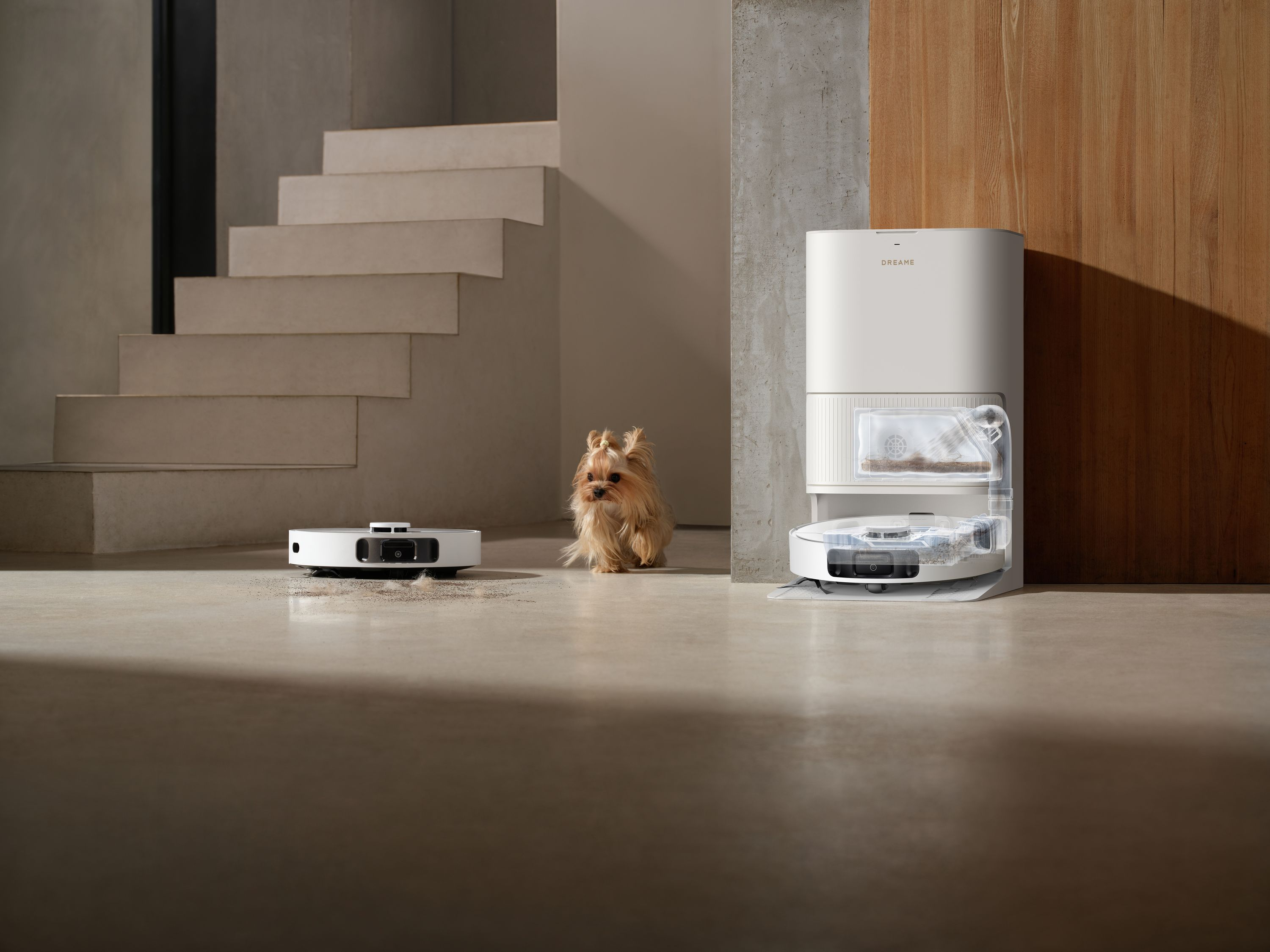 Biały robot sprzątający czyści obok teriera yorkshire, przy stacji dokującej.