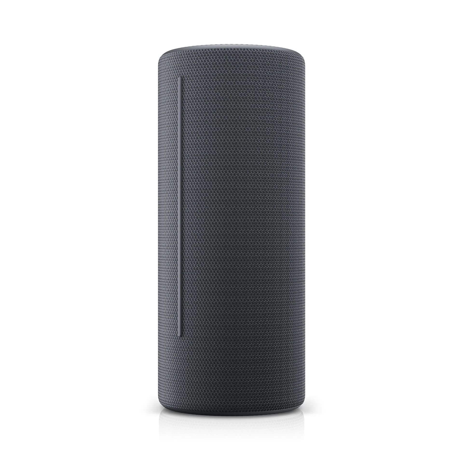 LOEWE Hear 2 Bluetooth Taşınabilir Hoparlör Gri