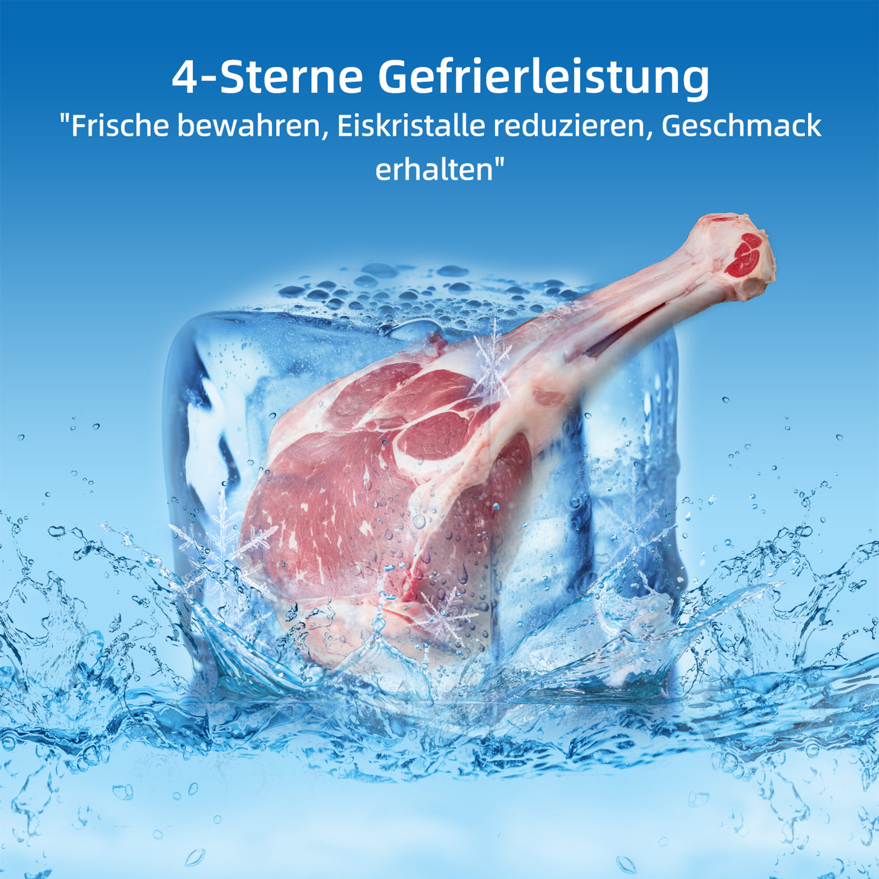 Un morceau de viande crue est congelé dans un bloc de glace, avec de l'eau et des glaçons.