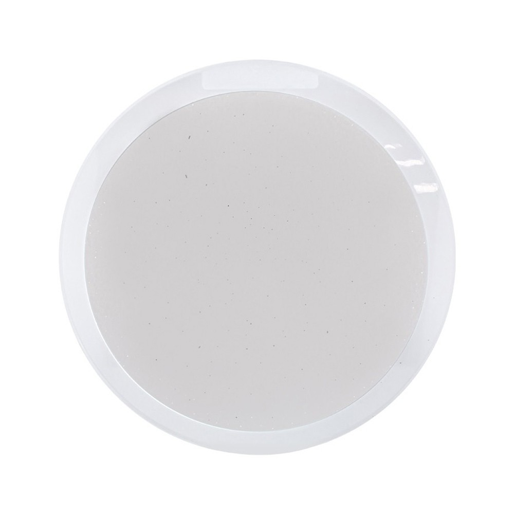Un cuenco blanco, redondo y plano con contenido gris claro, ligeramente brillante.