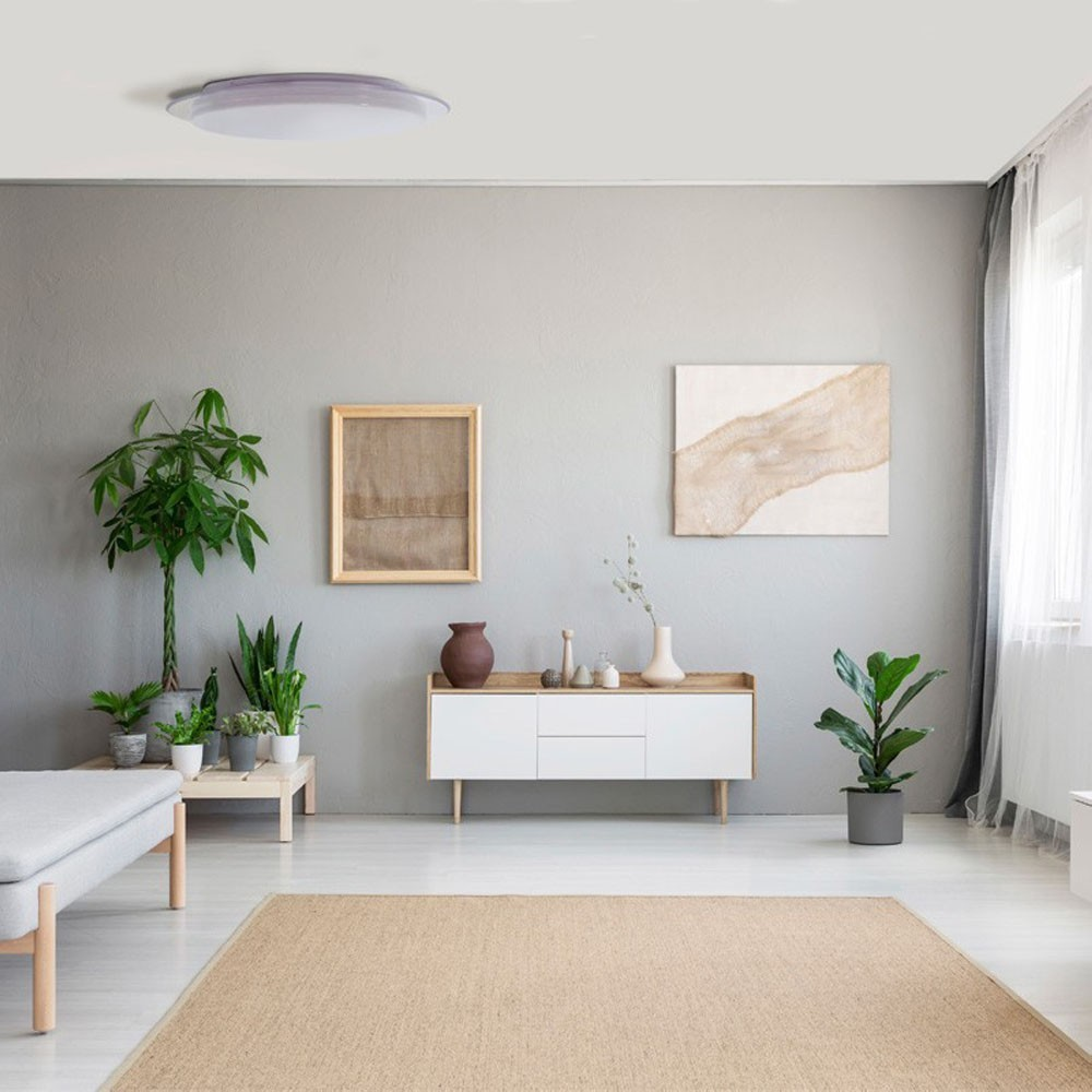 Una sala de estar luminosa con plantas, un aparador y una alfombra.