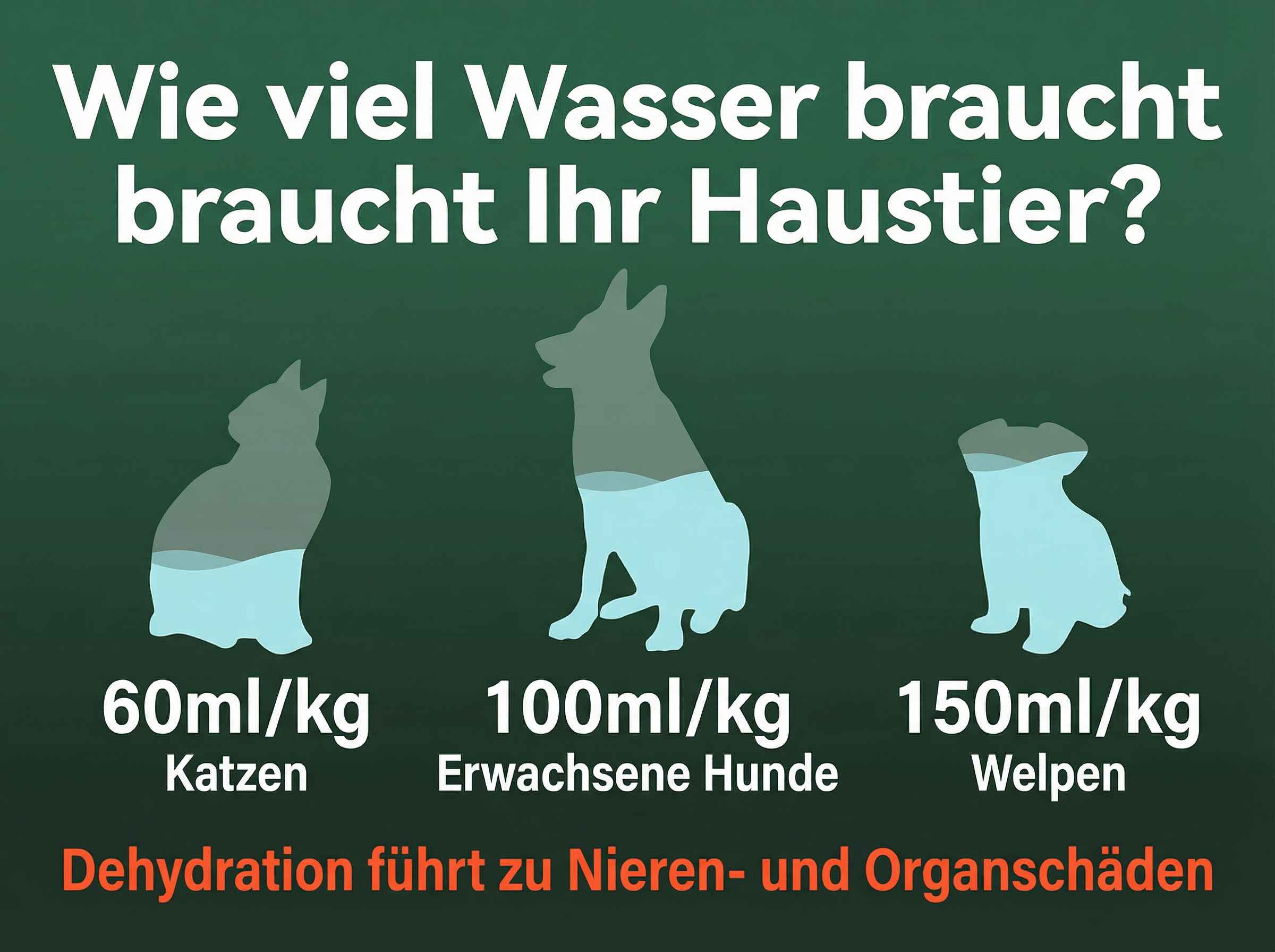 Grafik zeigt Wasserbedarf von Haustieren: Katze 60ml/kg, Hund 100ml/kg, Welpe 150ml/kg.