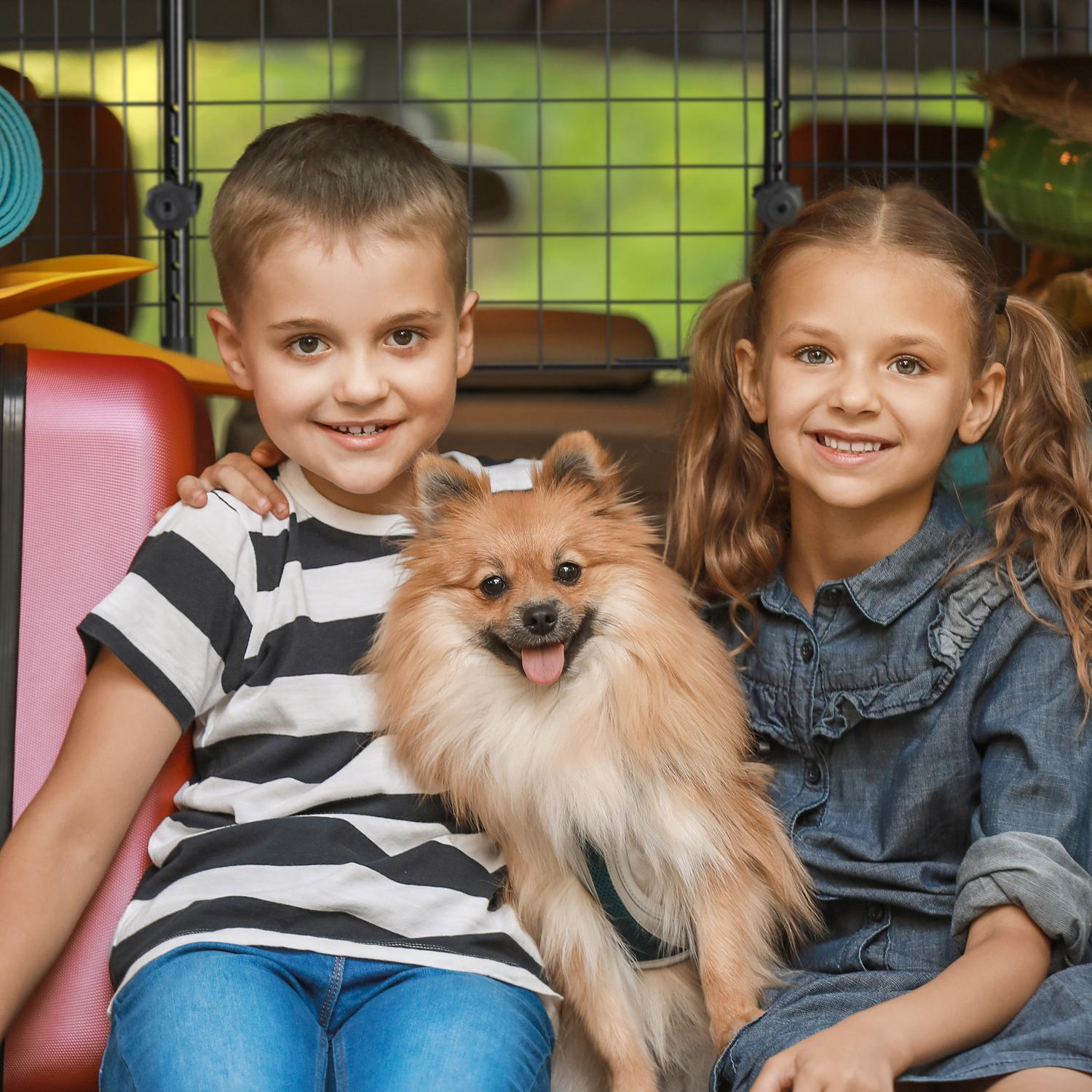 Niño y niña con perro Pomerania frente a jaula negra. Maleta rosa a la izquierda.