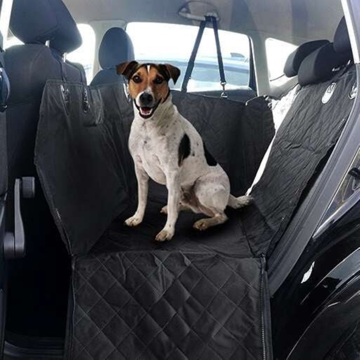 Un perro se sienta en una funda de asiento de coche negra.
