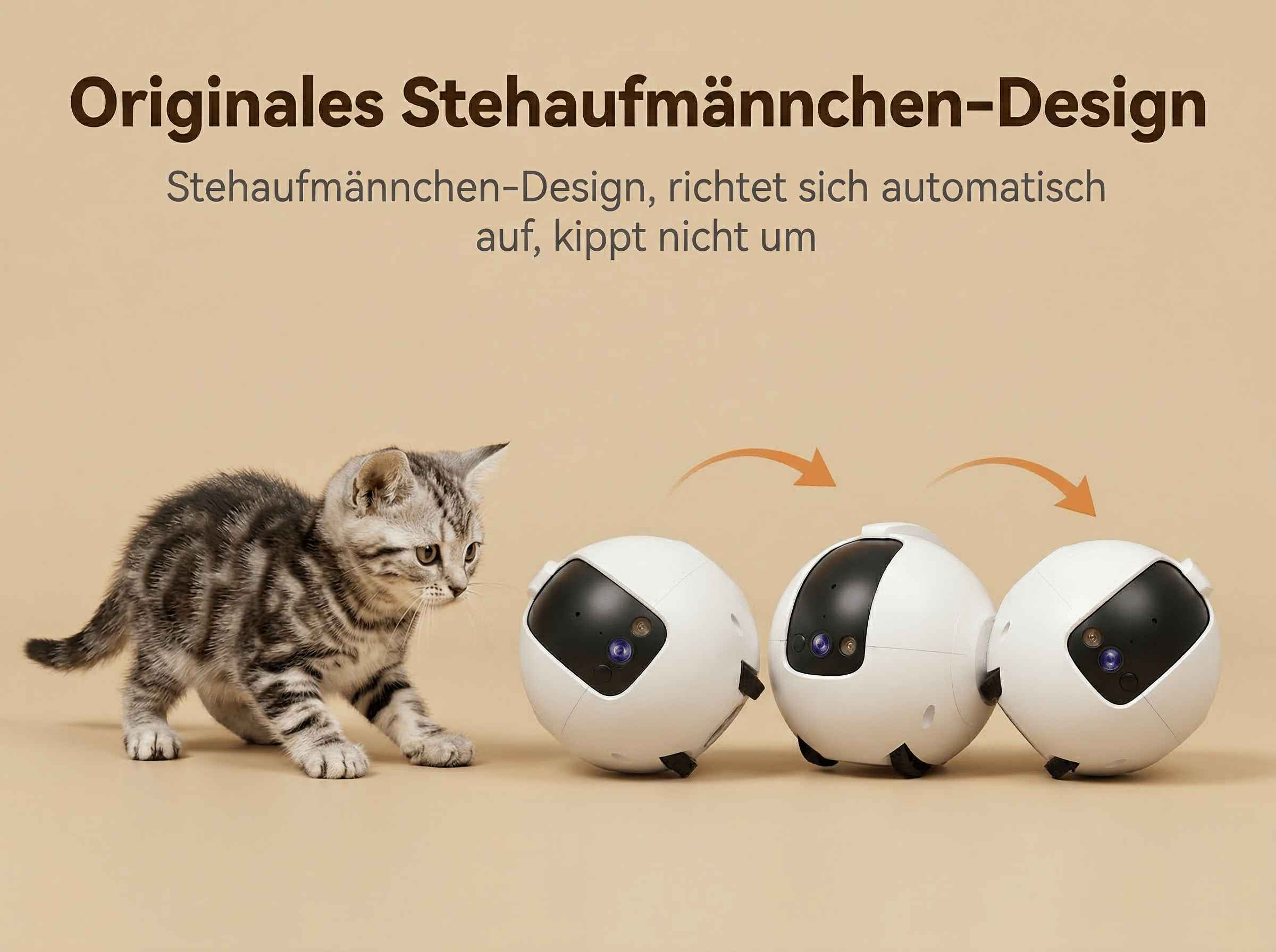 Ein Kätzchen schaut auf drei weiße, kugelförmige Spielzeuge mit Kameras.