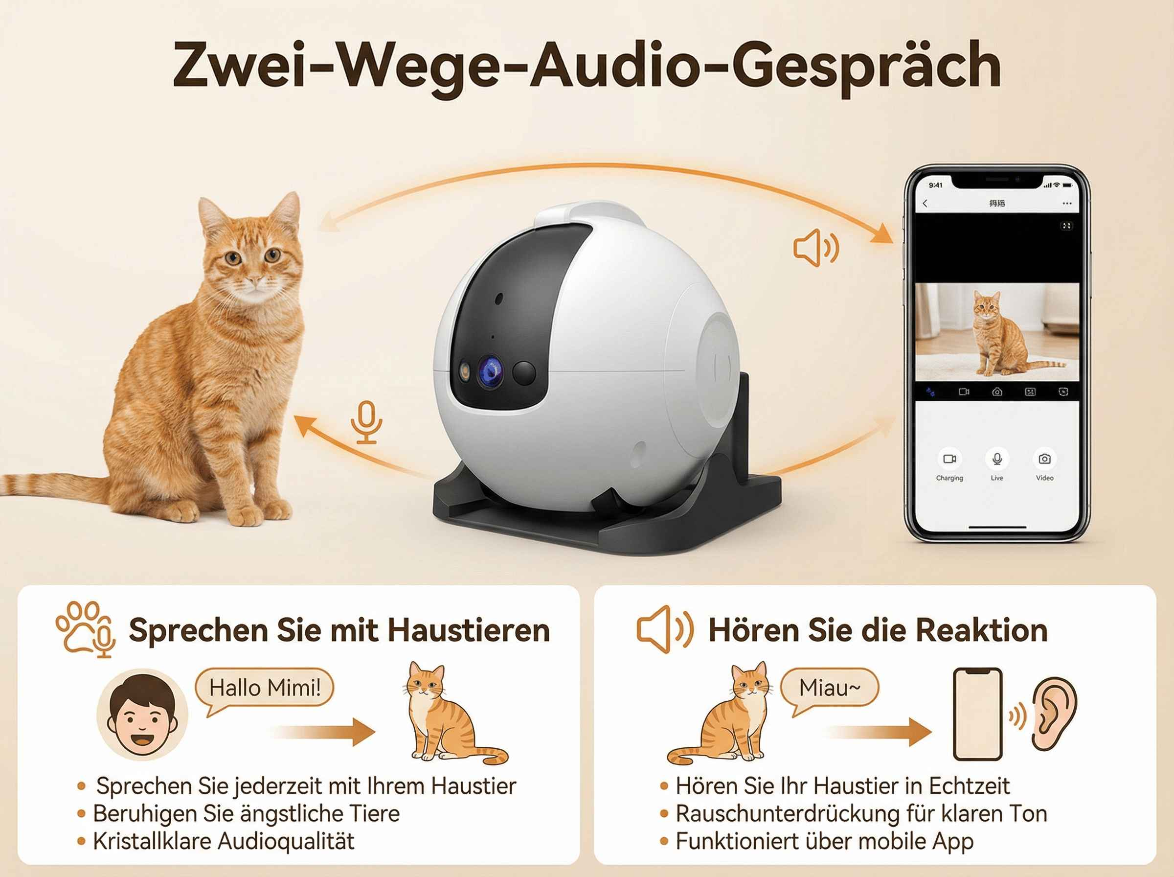 Ein Kater sitzt neben einem Zwei-Wege-Audio-Gerät und einem Smartphone.