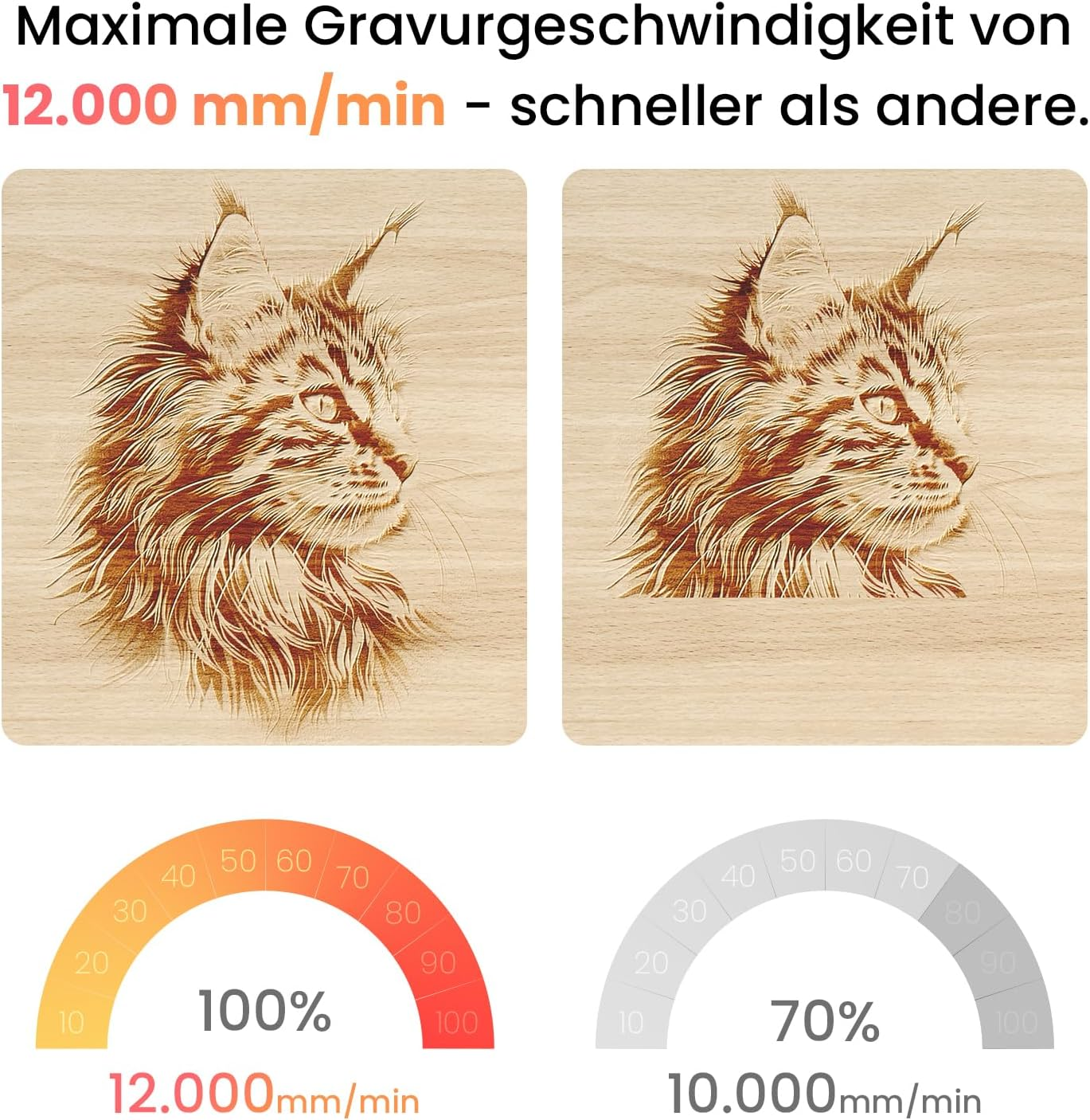 Zwei Holzgravuren von Katzenköpfen mit Geschwindigkeitsanzeigen.