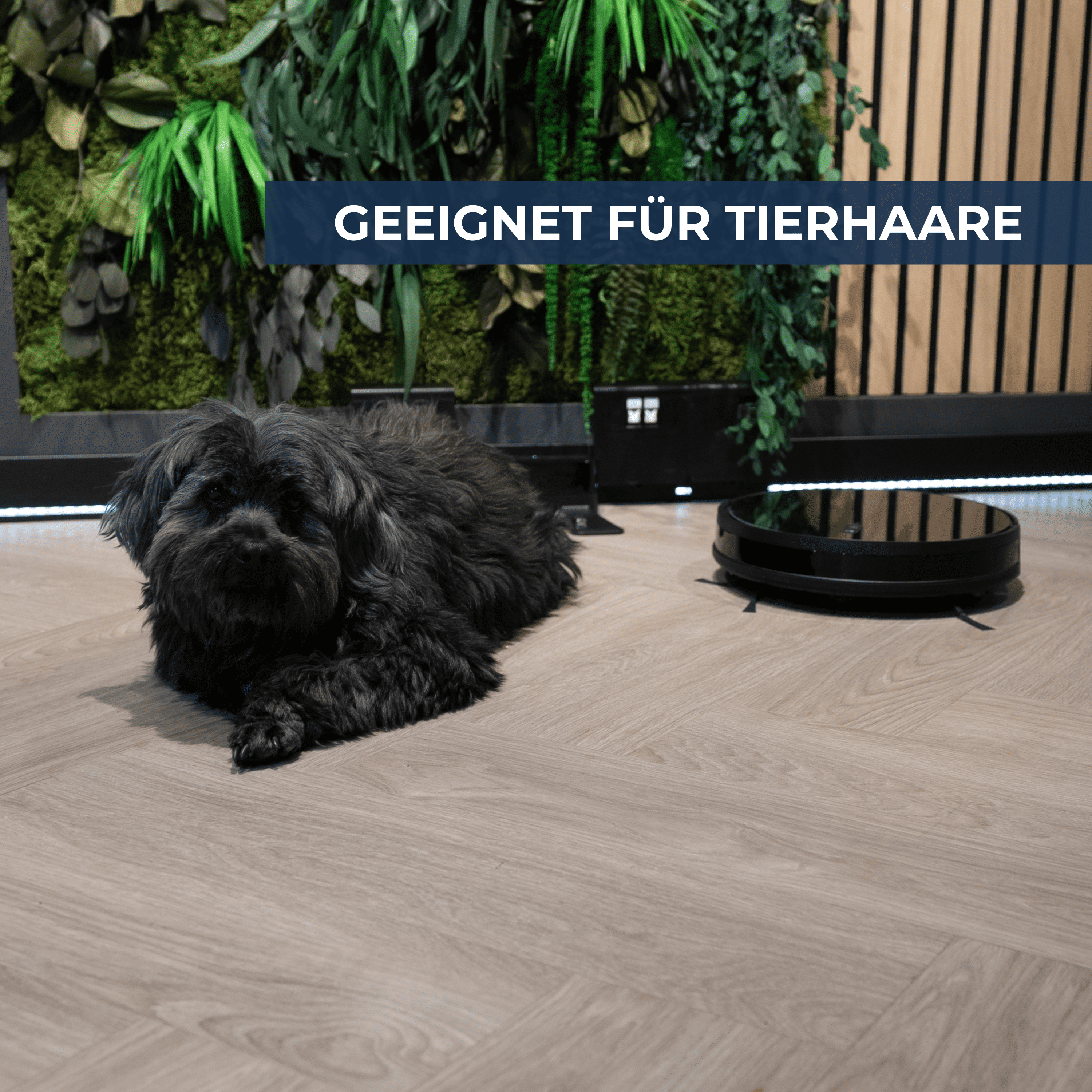 Ein schwarzer Hund liegt auf einem Holzboden neben einem Saugroboter.