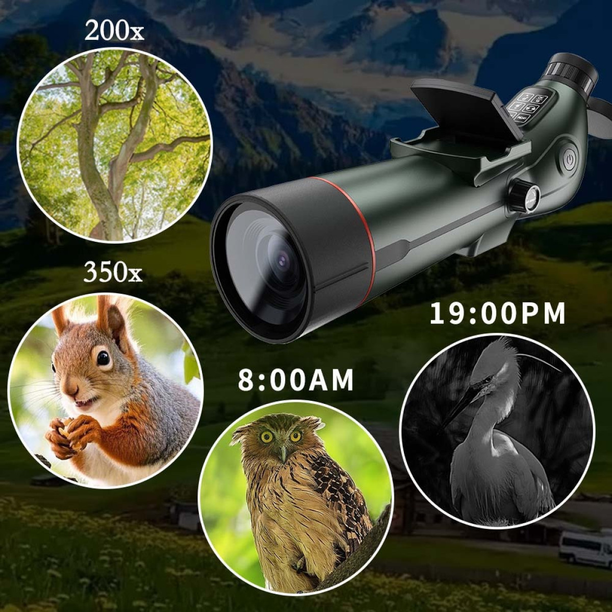 Teleskop pokazujący powiększone widoki drzewa, wiewiórki, sowy i ptaka o różnych porach.