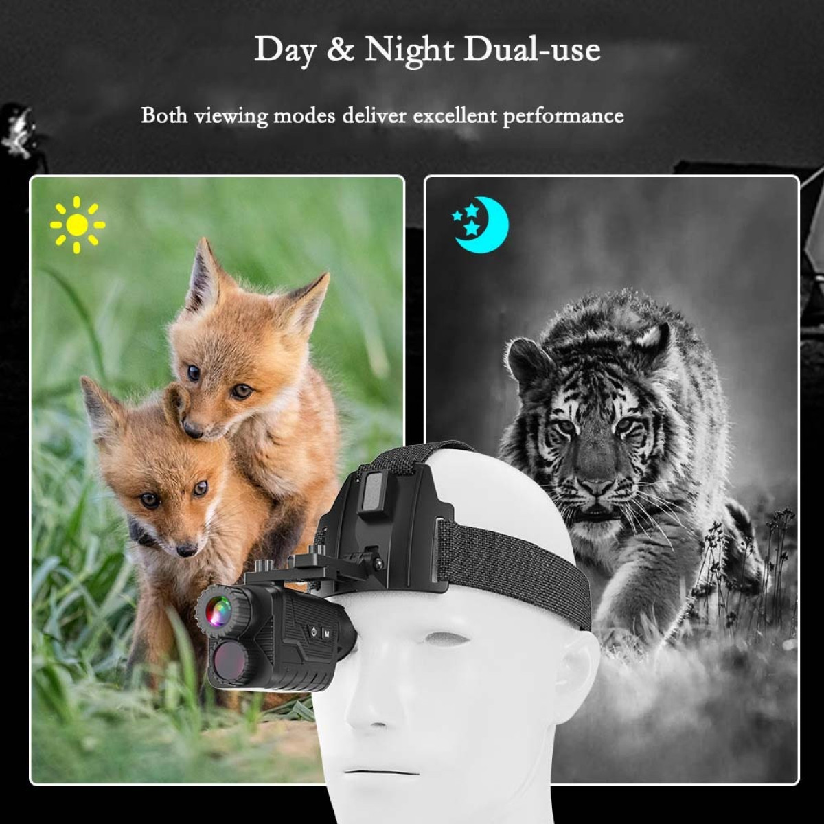 Dwa lisy na trawie i tygrys we mgle, z goglami noktowizyjnymi.